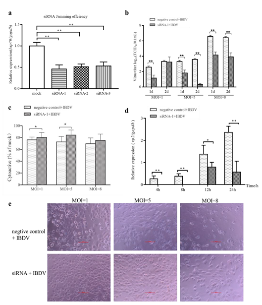 Pathogens 10 00664 g005 Pathogens 10 00664 g005