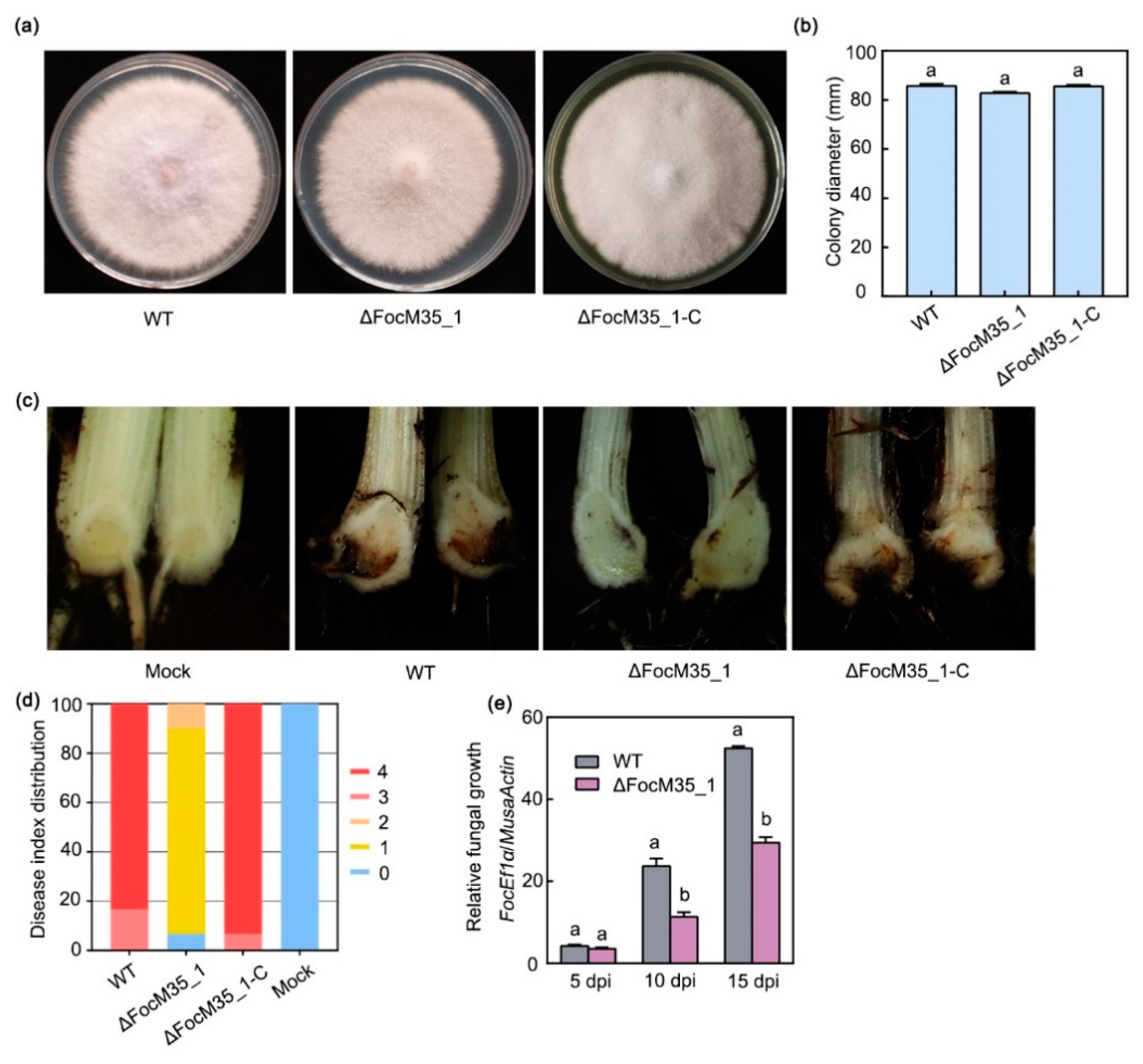 Pathogens 10 00670 g003 Pathogens 10 00670 g003