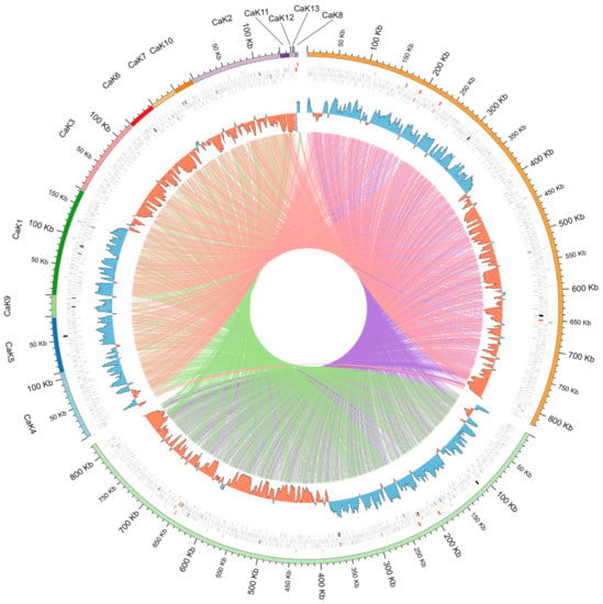 Pathogens, Free Full-Text