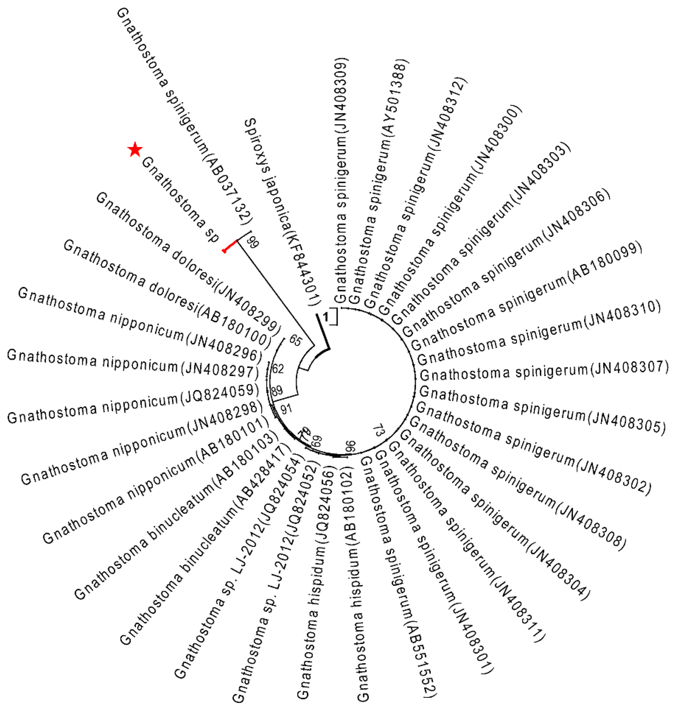 Pathogens 10 00711 g003 Pathogens 10 00711 g003
