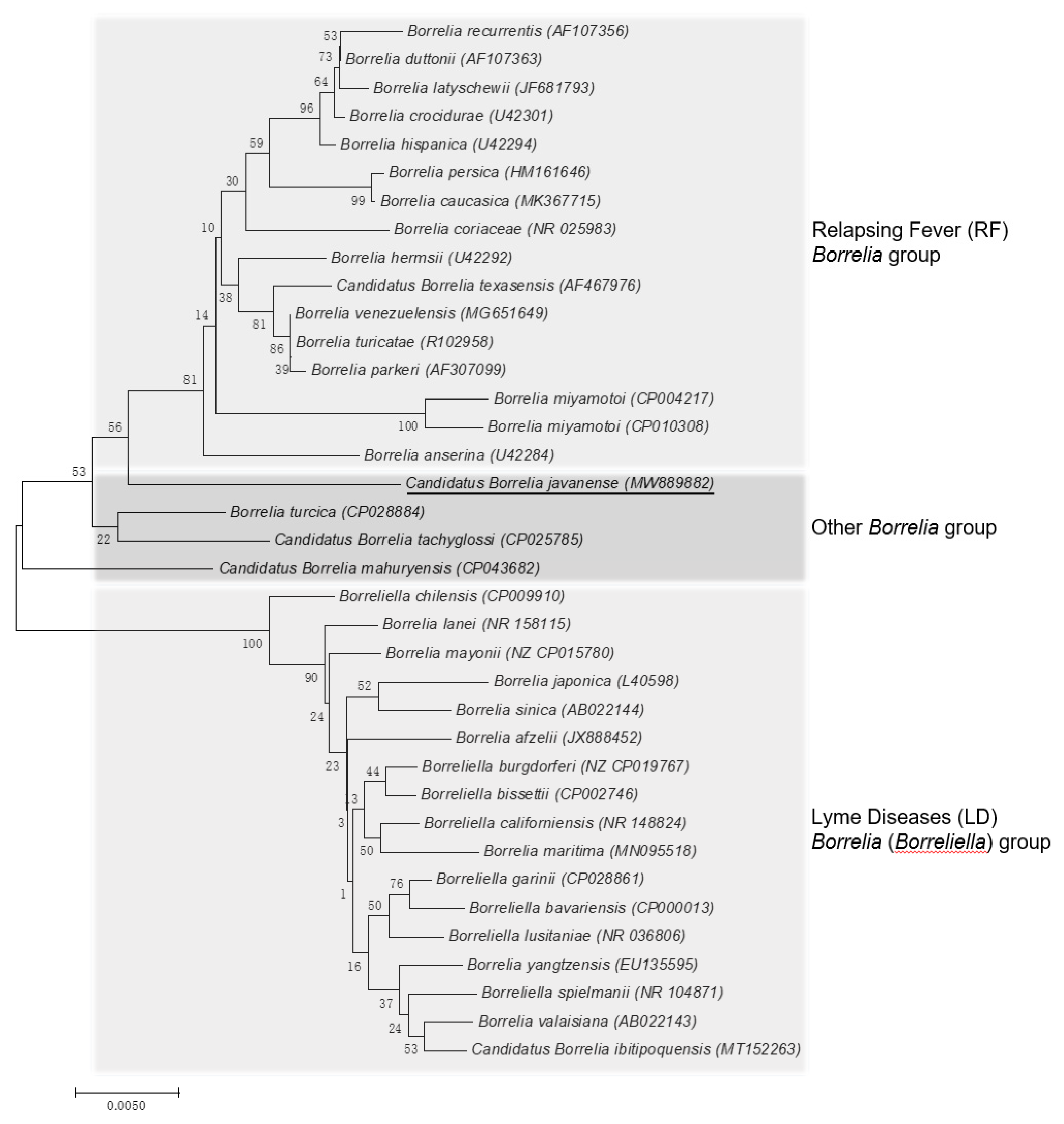 Pathogens 10 00728 g002 Pathogens 10 00728 g002