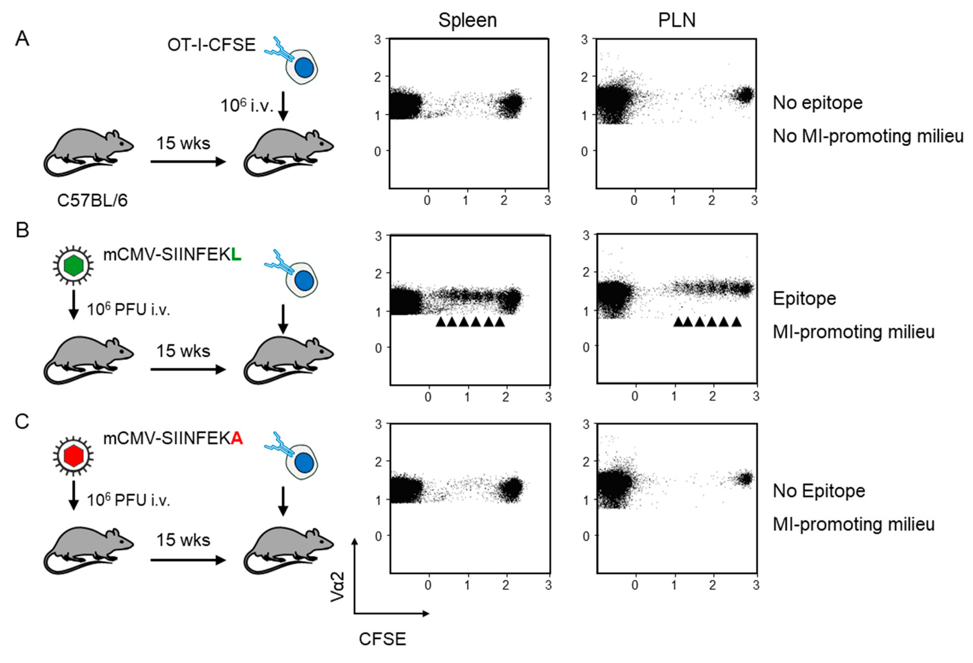 Pathogens 10 00731 g002 Pathogens 10 00731 g002