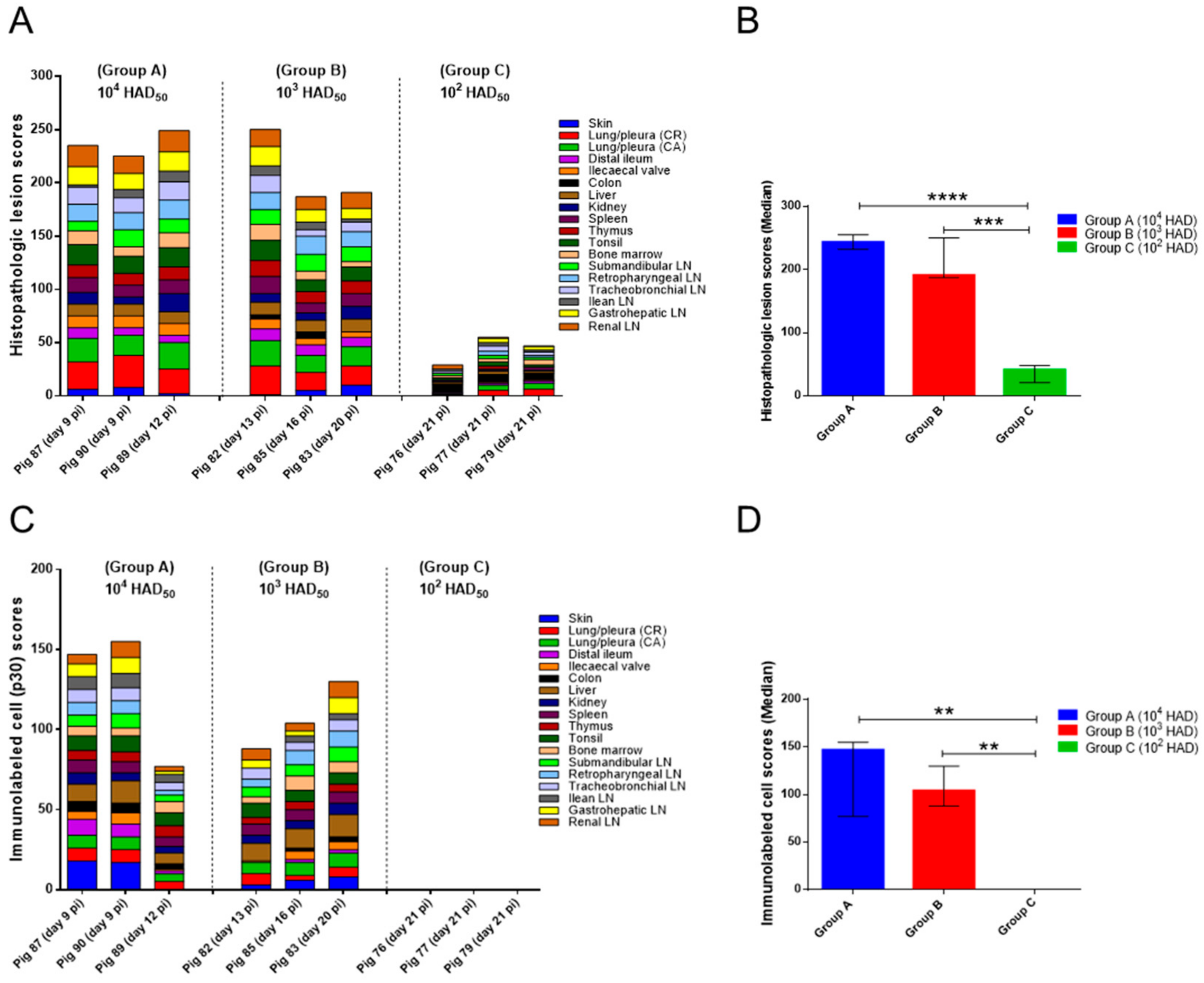 Pathogens 10 00768 g005