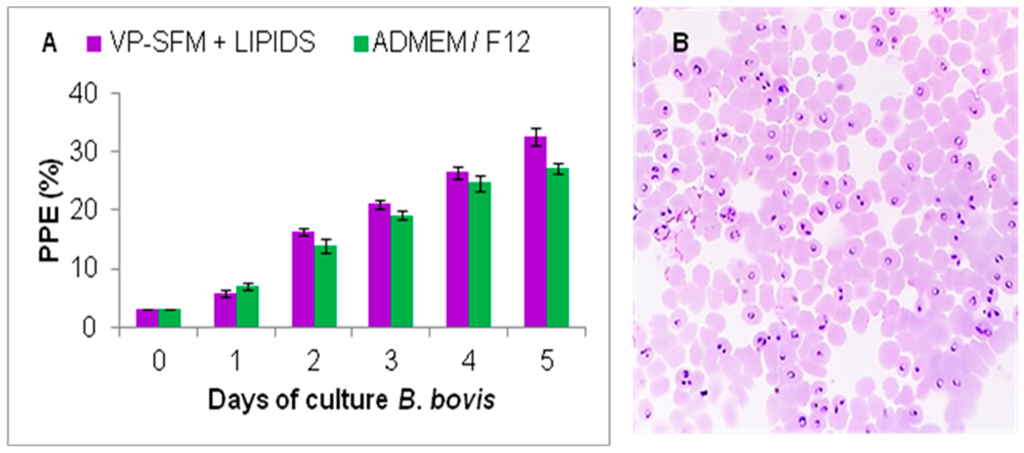 Pathogens 10 00770 g005 Pathogens 10 00770 g005