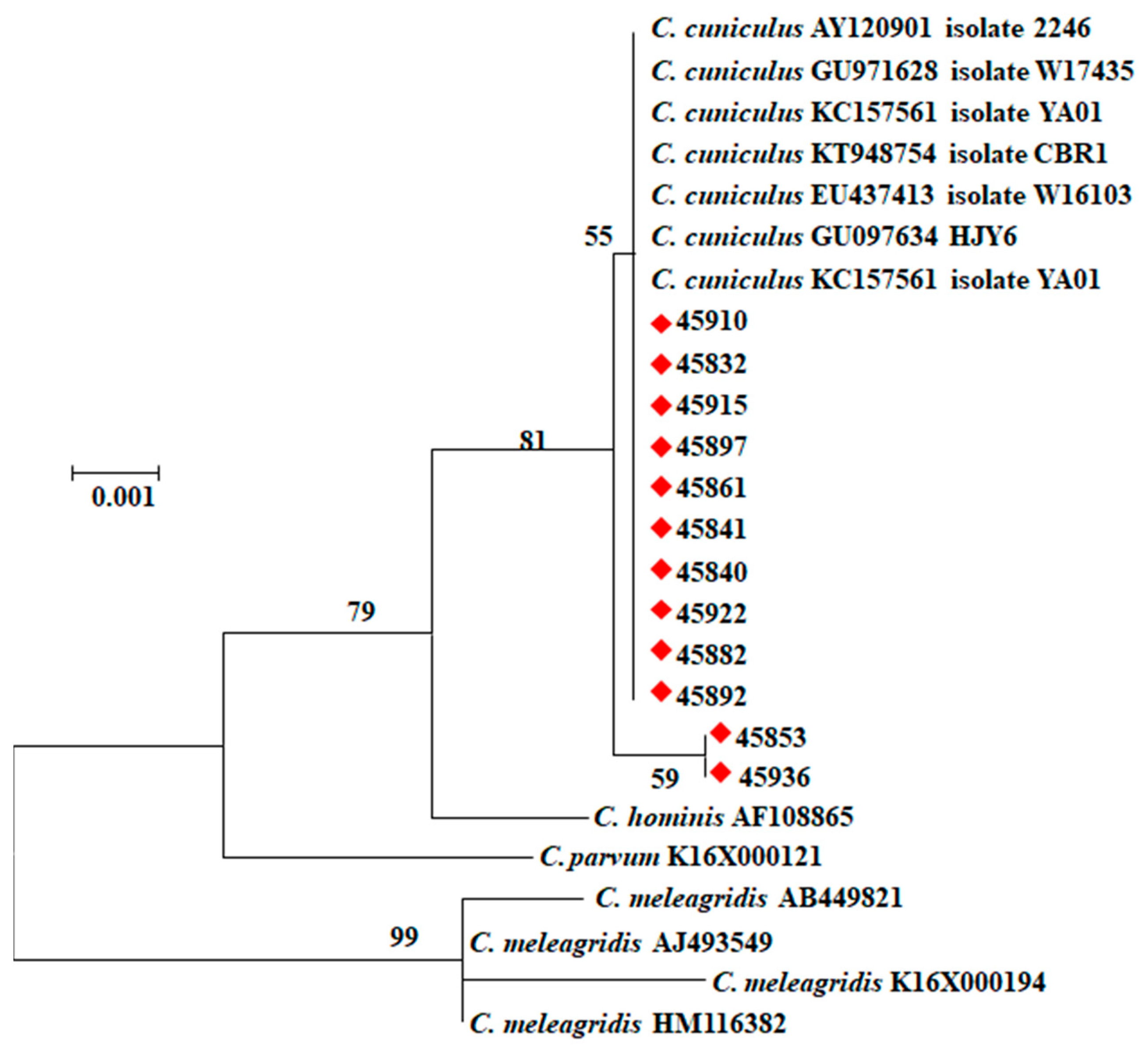 Pathogens 10 00775 g002