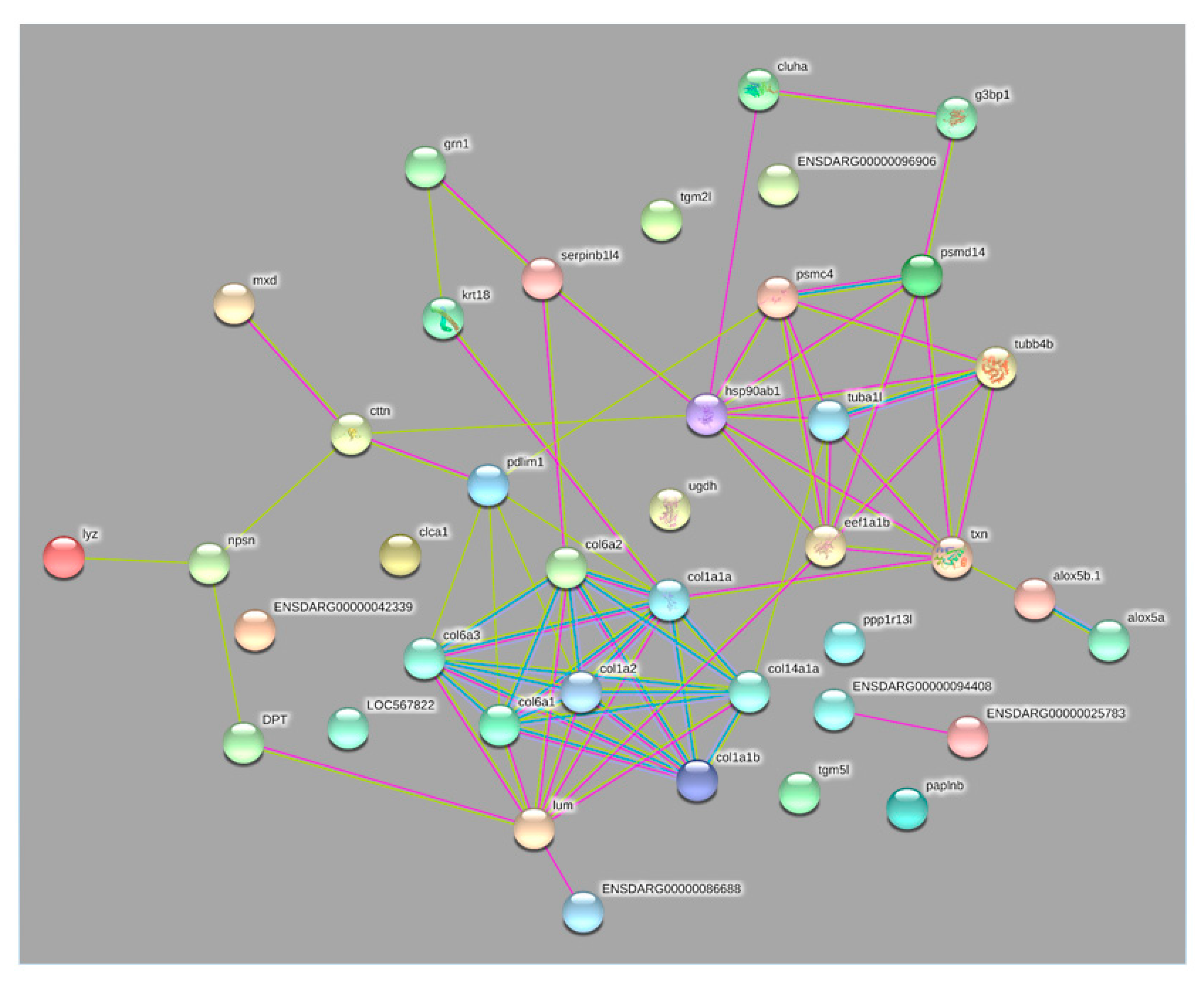Pathogens 10 00790 g002