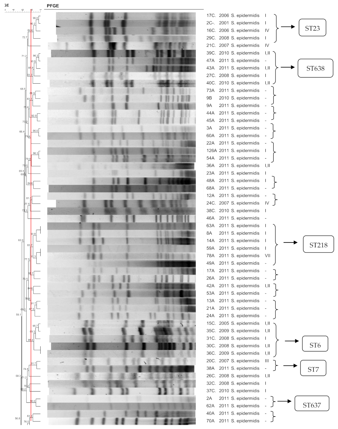 Pathogens 10 00792 g001a Pathogens 10 00792 g001a