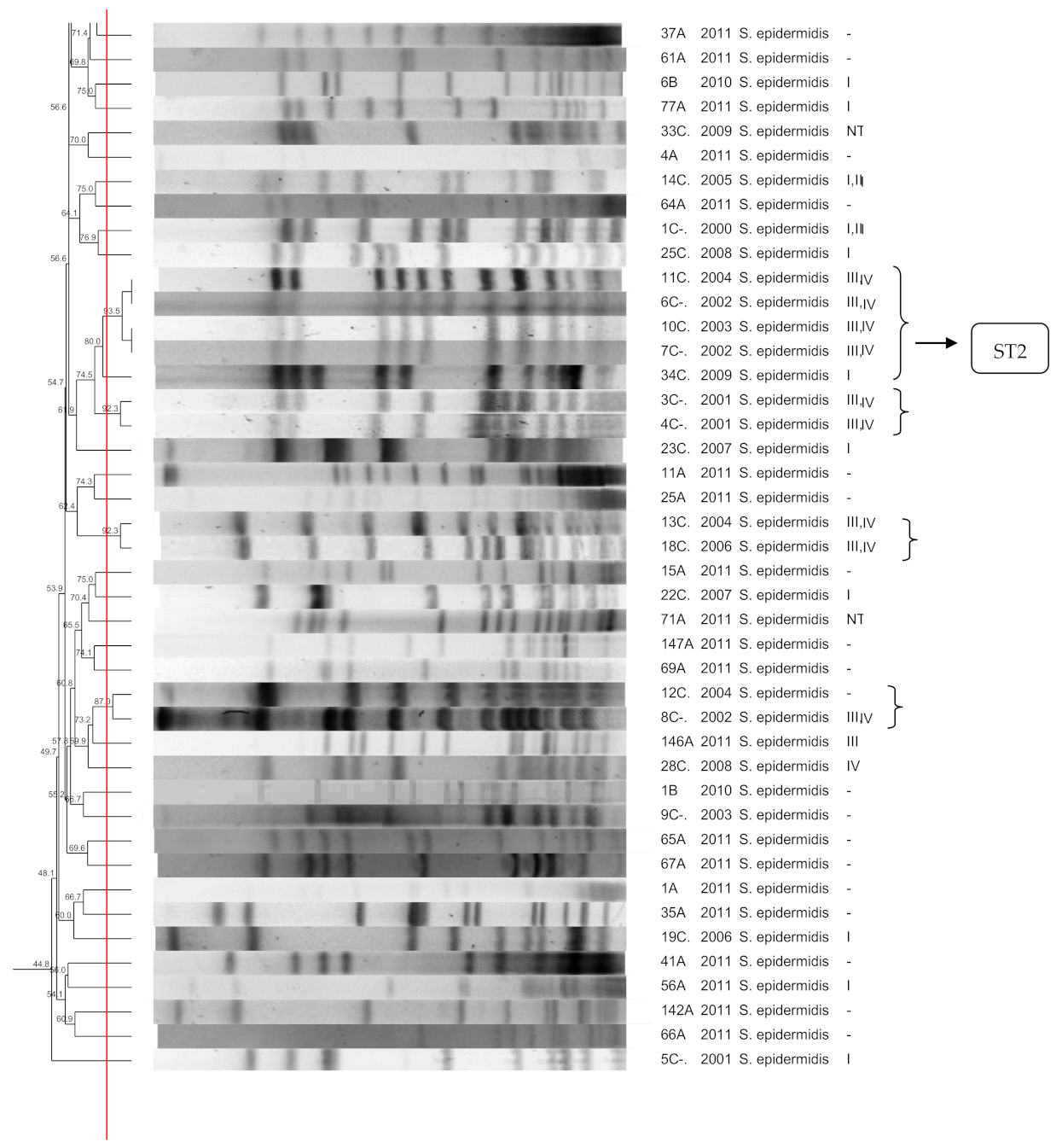 Pathogens 10 00792 g001b Pathogens 10 00792 g001b
