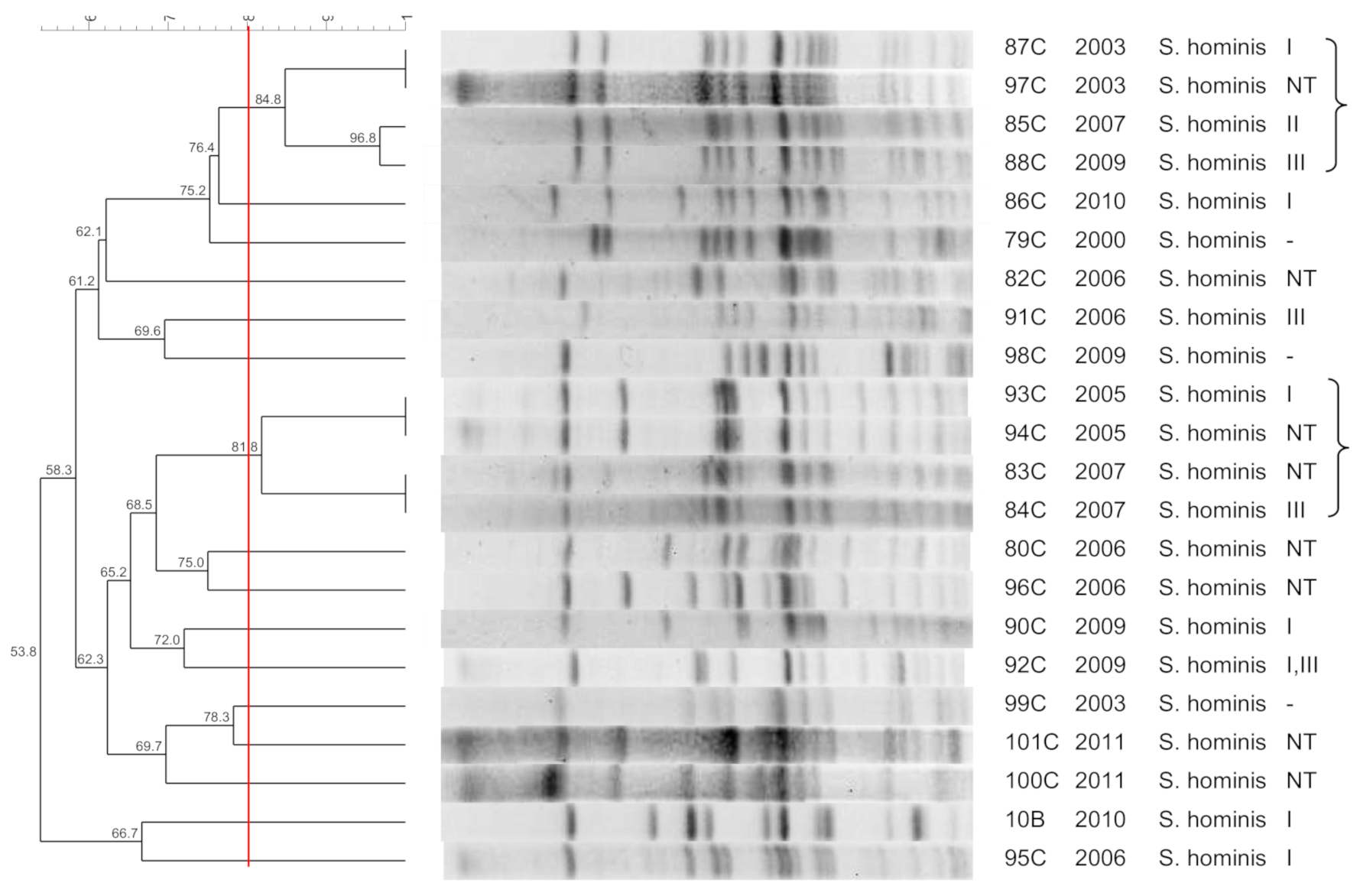 Pathogens 10 00792 g004 Pathogens 10 00792 g004