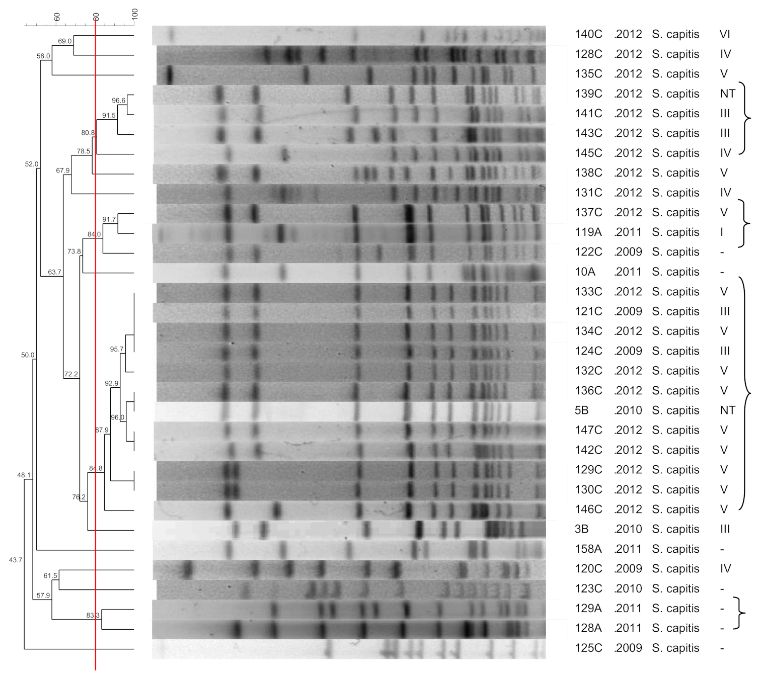 Pathogens 10 00792 g005 Pathogens 10 00792 g005