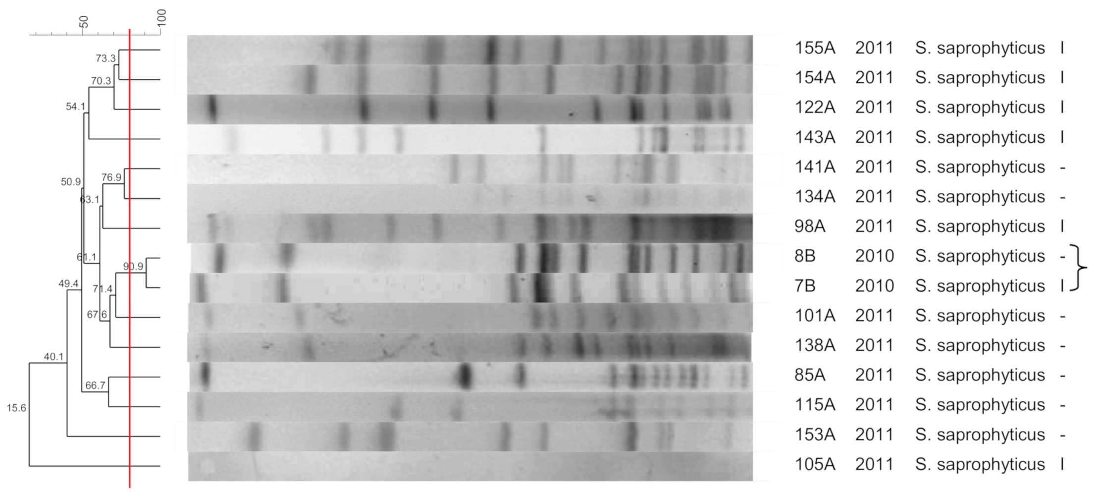 Pathogens 10 00792 g007 Pathogens 10 00792 g007
