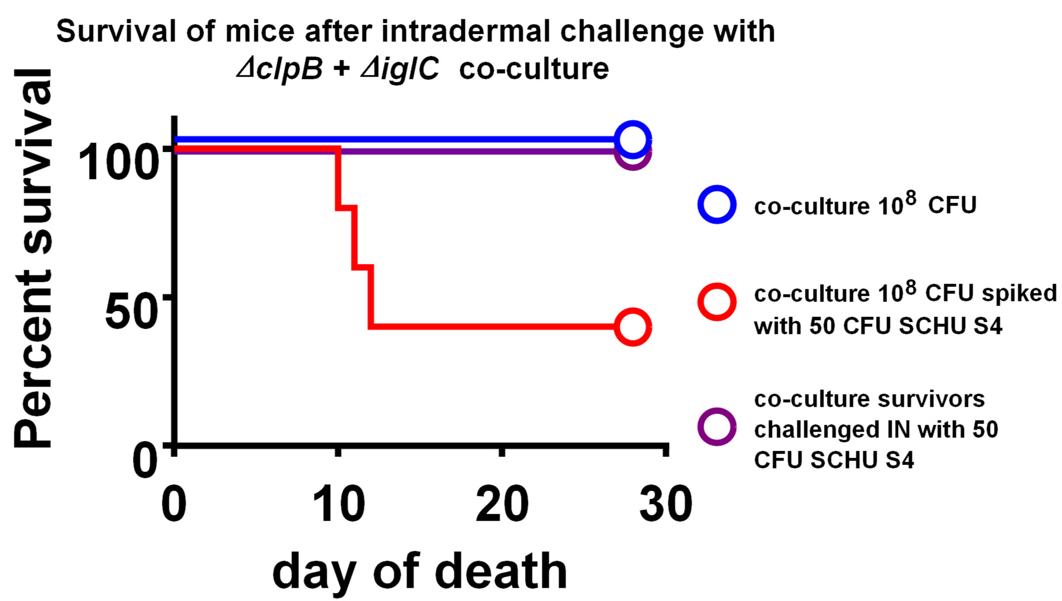 Pathogens 10 00795 g003