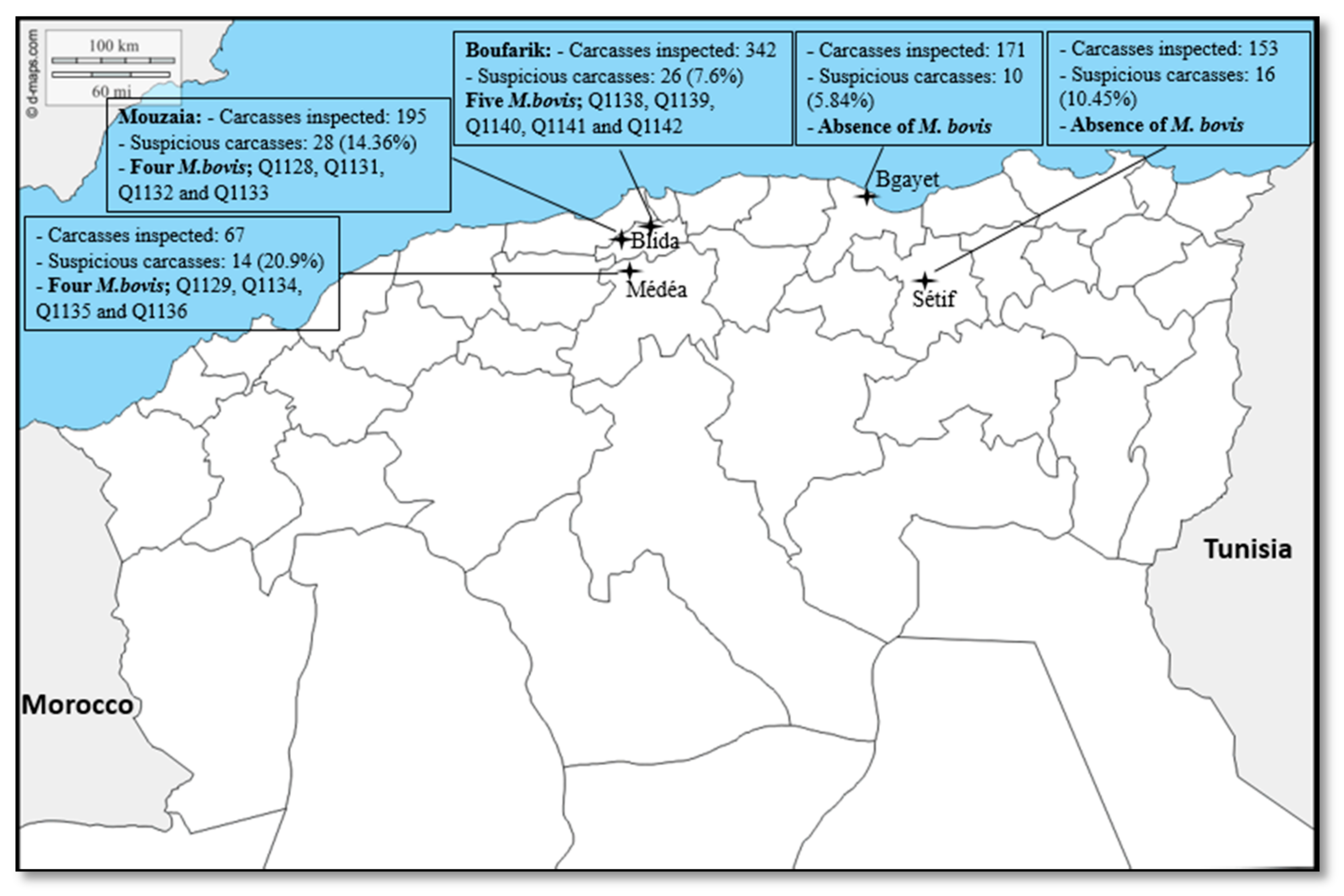 Pathogens 10 00802 g001