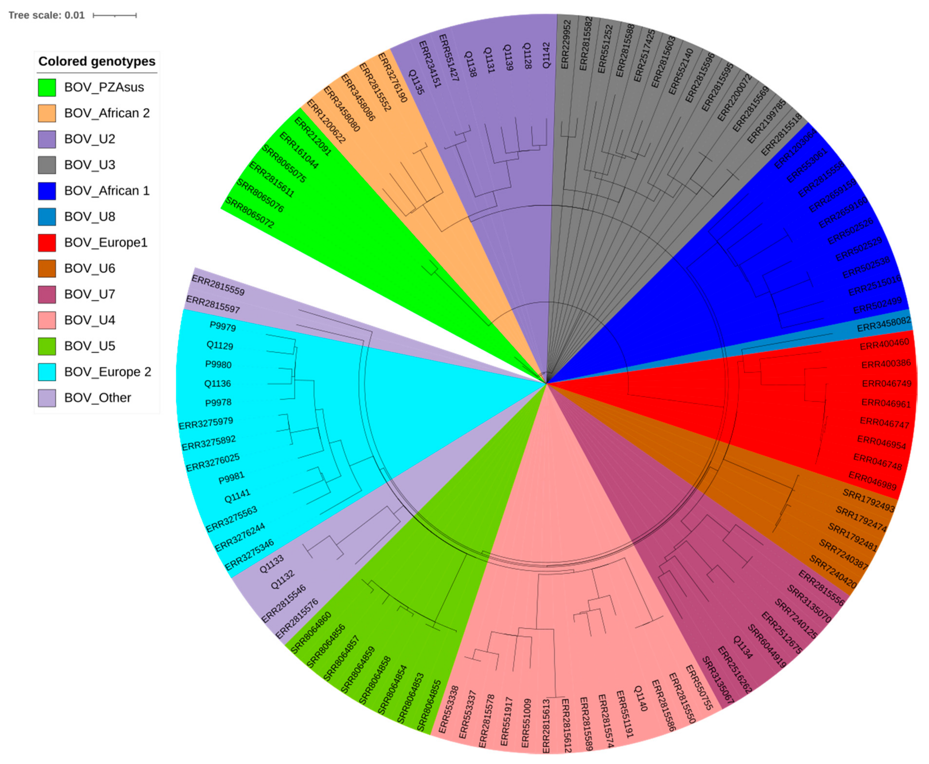 Pathogens 10 00802 g002