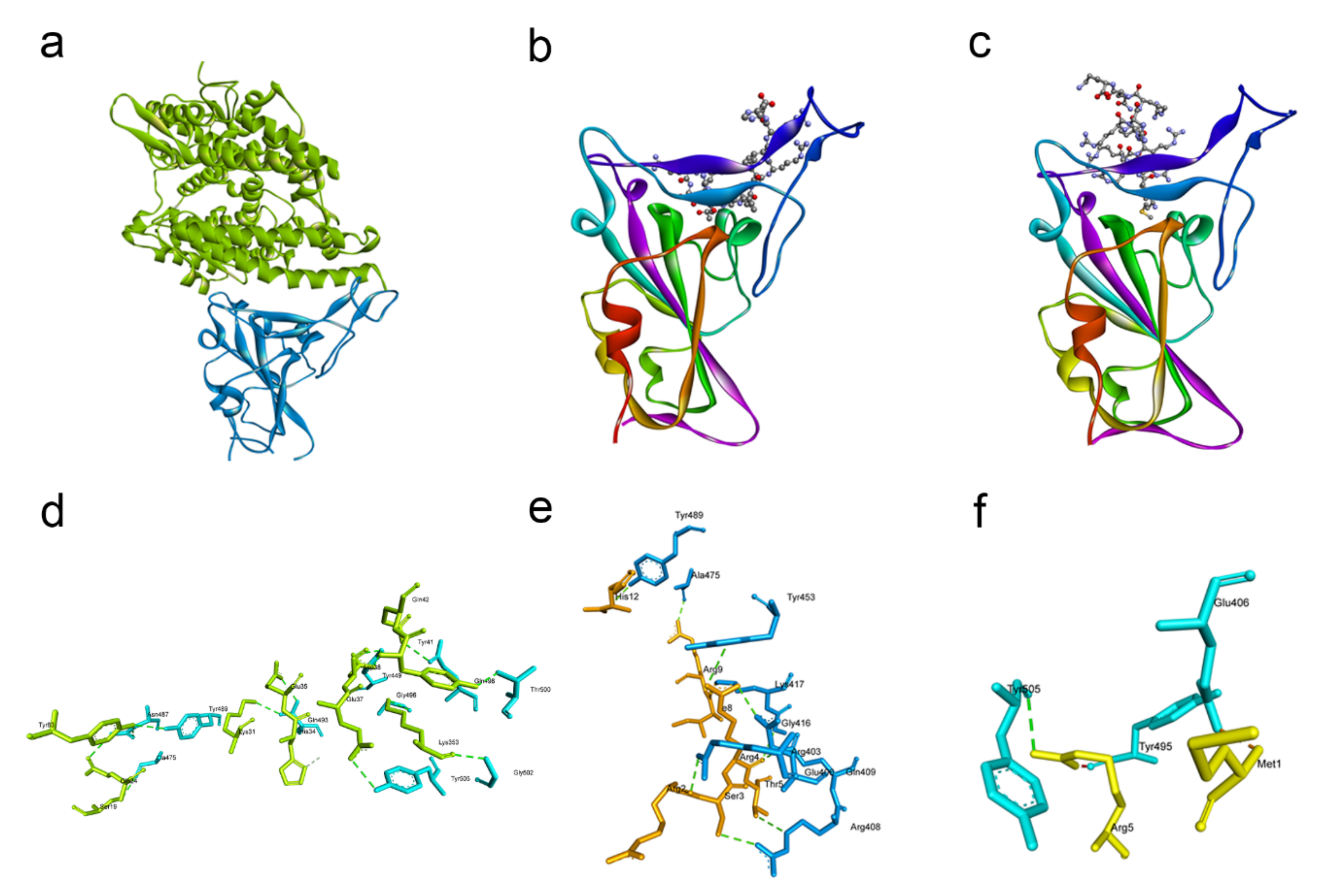 Pathogens 10 00803 g001