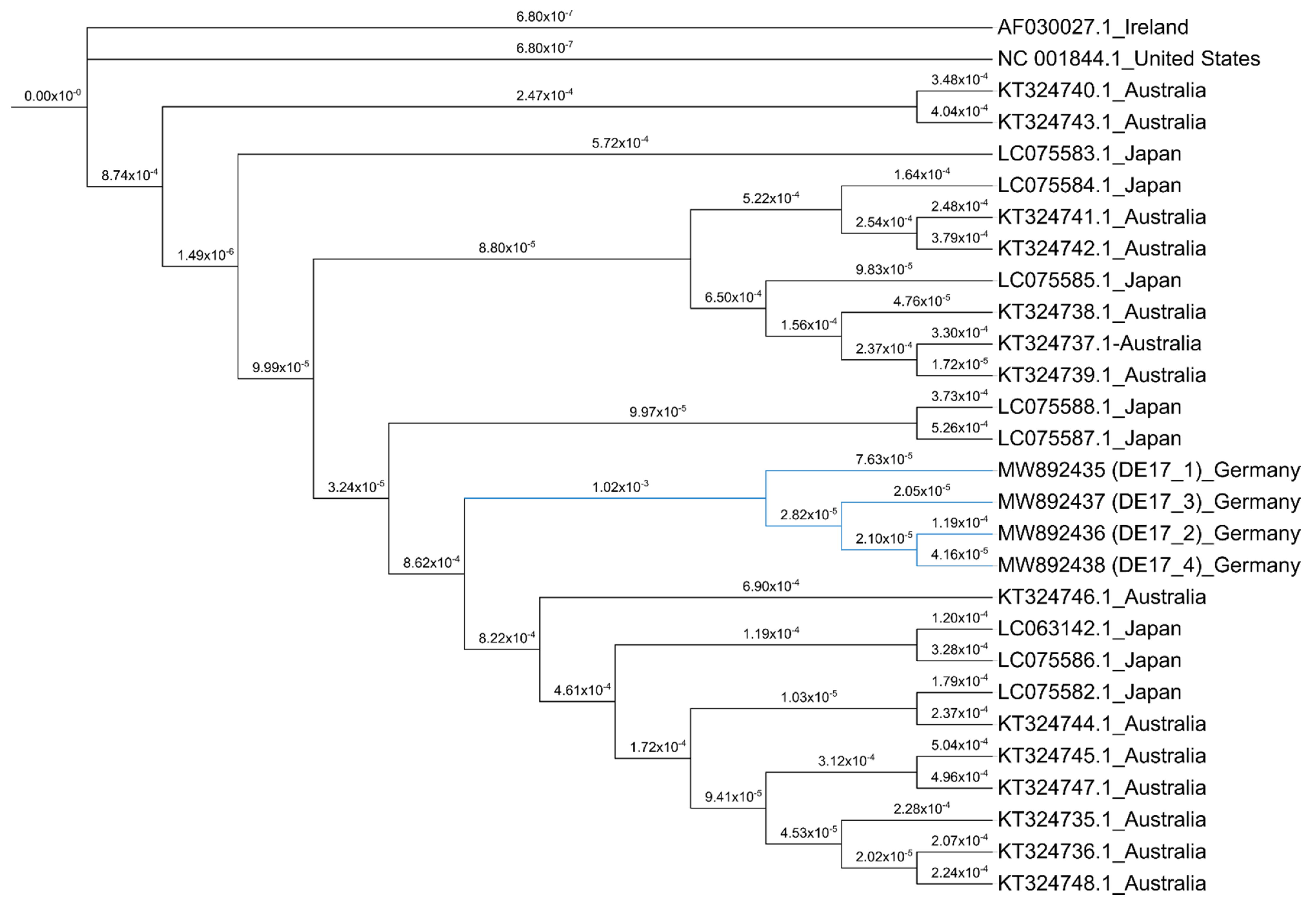 Pathogens 10 00810 g006 Pathogens 10 00810 g006