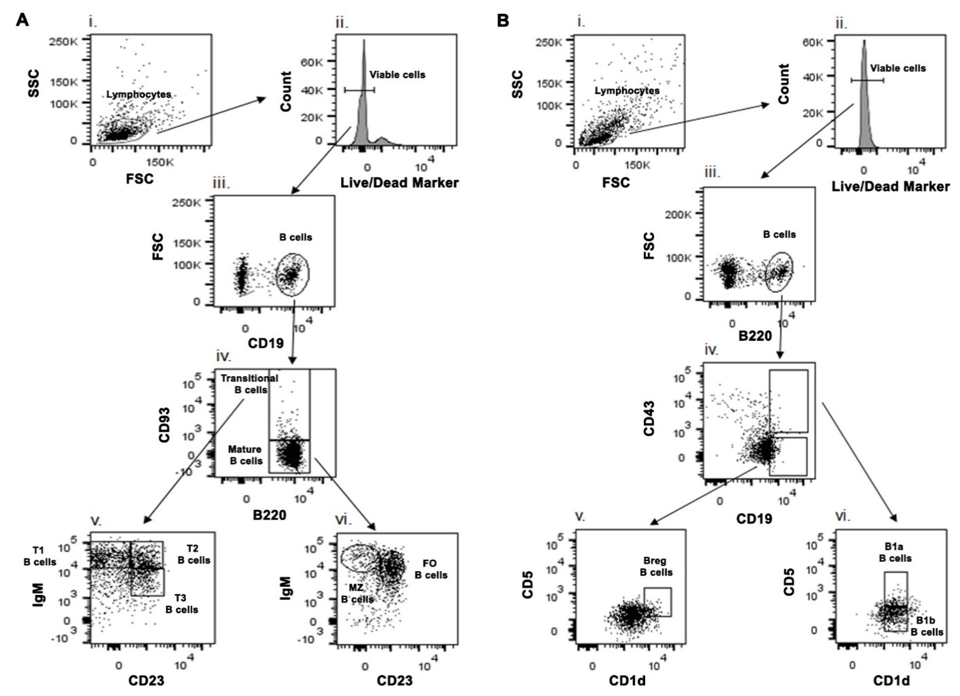 Pathogens 10 00814 g003