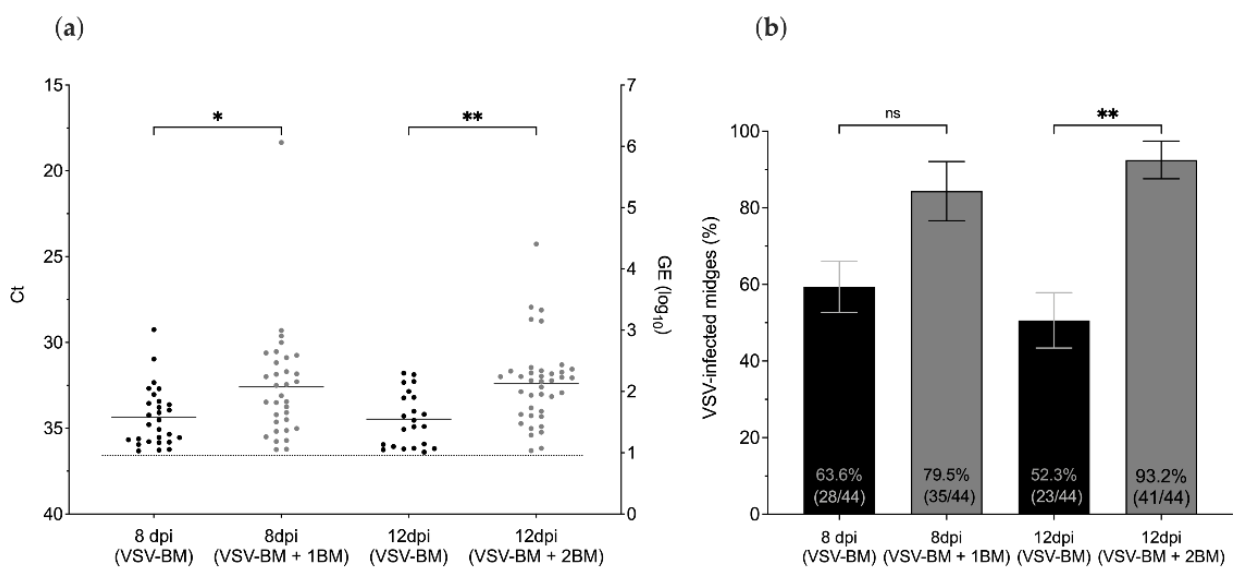 Pathogens 10 00816 g004