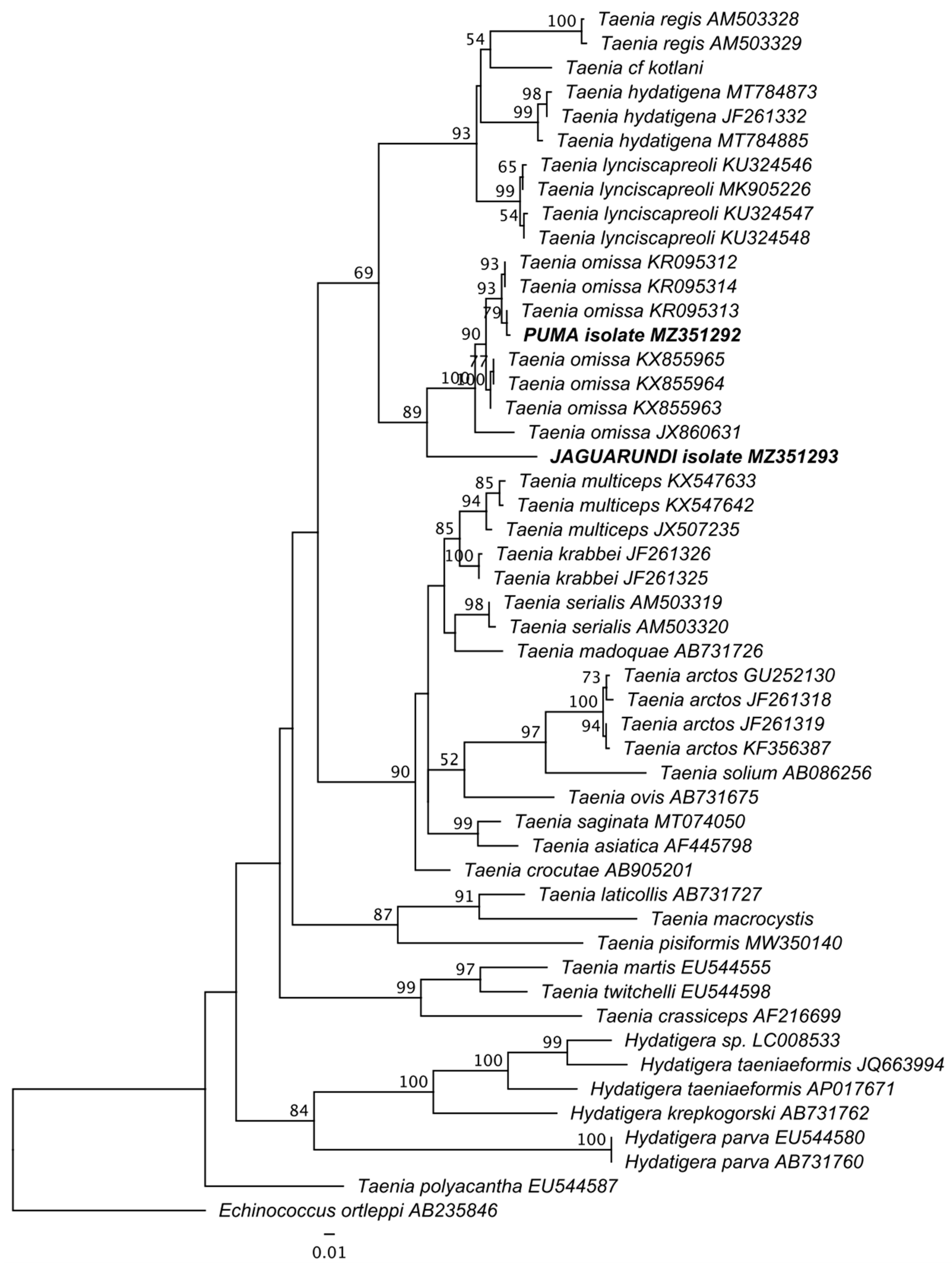 Pathogens | Free Full-Text | Intestinal Parasites of Neotropical Wild  Jaguars, Pumas, Ocelots, and Jaguarundis in Colombia: Old Friends Brought  Back from Oblivion and New Insights | HTML