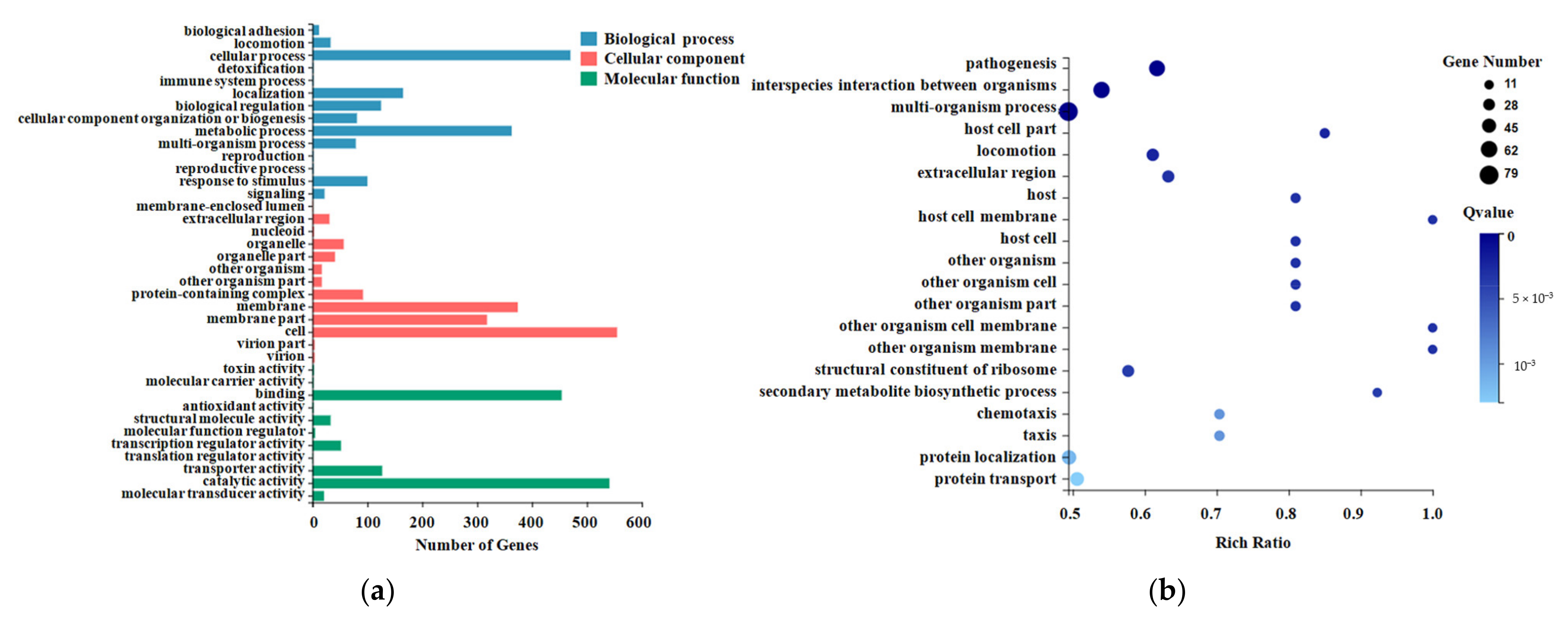 Pathogens 10 00823 g002