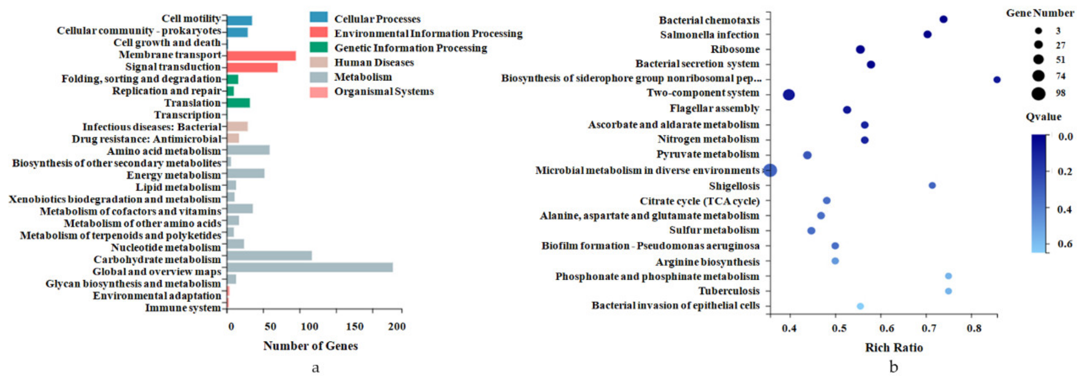 Pathogens 10 00823 g003