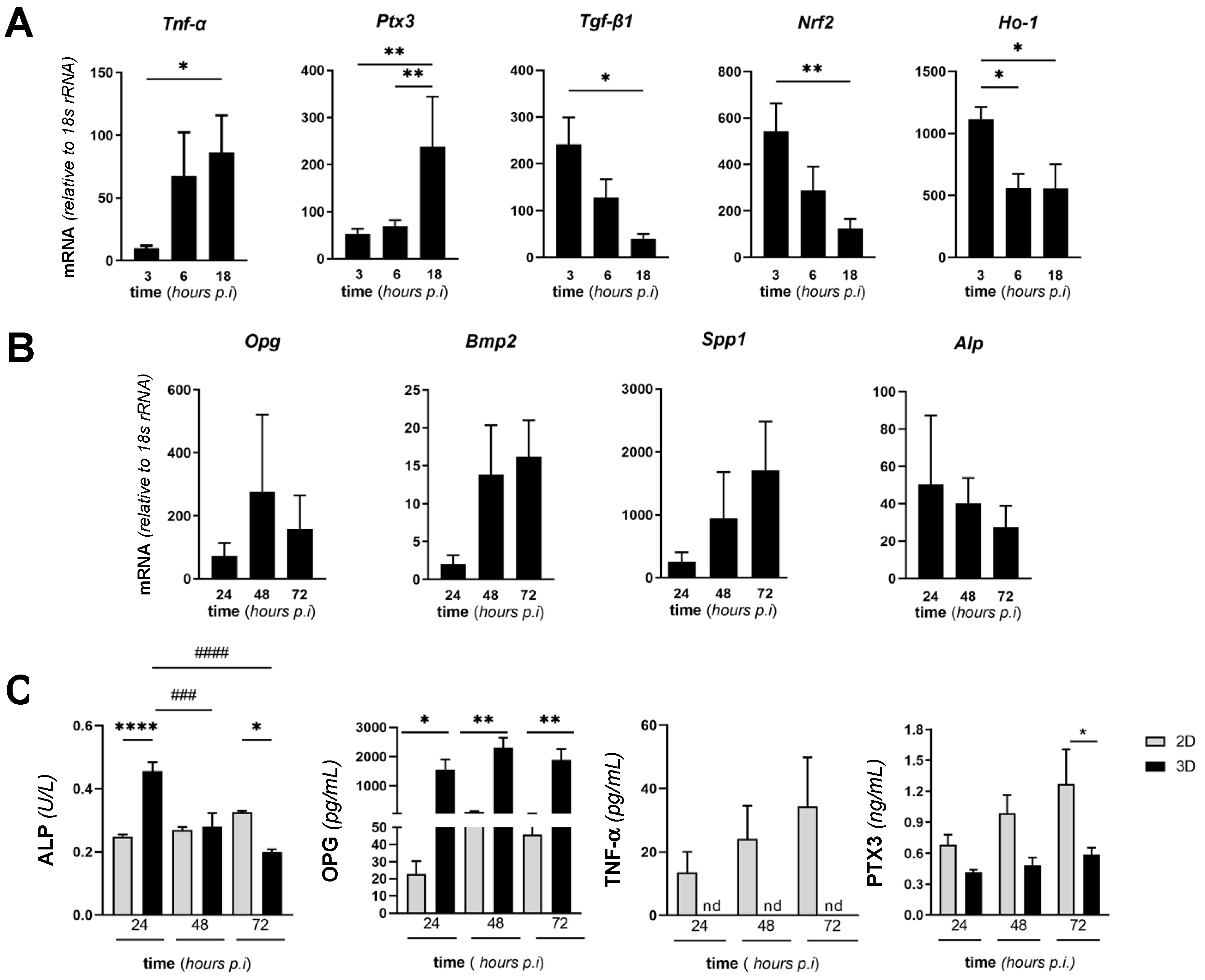 Pathogens 10 00837 g006