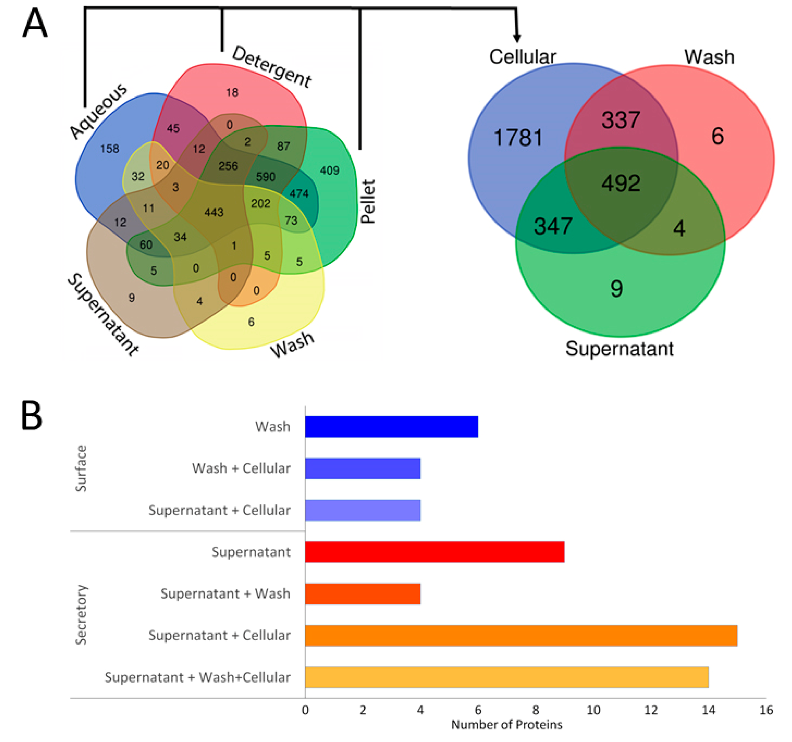 Pathogens | Free Full-Text | Extracellular Proteome Analysis Shows the  Abundance of Histidine Kinase Sensor Protein, DNA Helicase, Putative  Lipoprotein Containing Peptidase M75 Domain and Peptidase C39 Domain  Protein in Leptospira interrogans