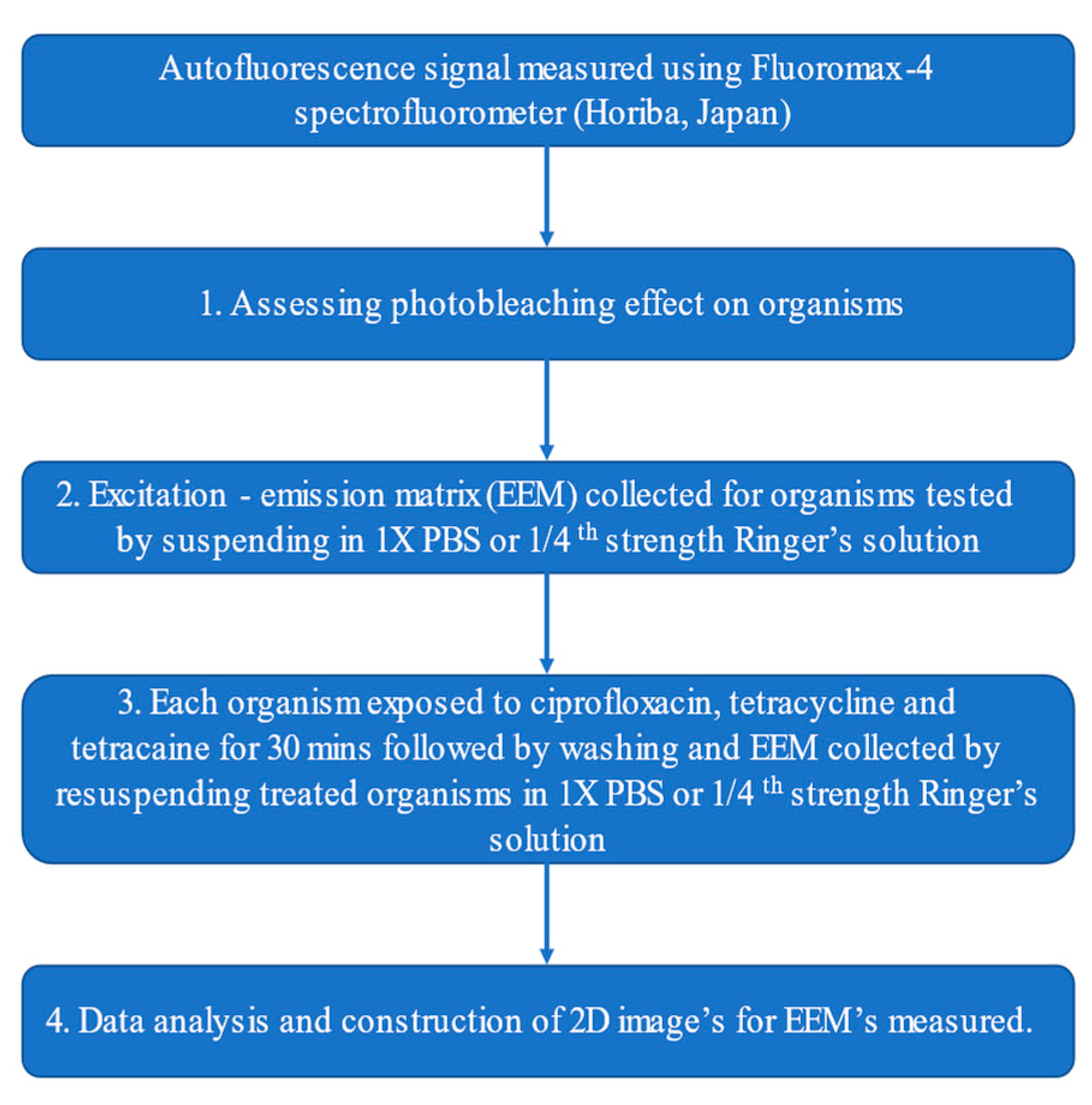 Pathogens 10 00894 g004