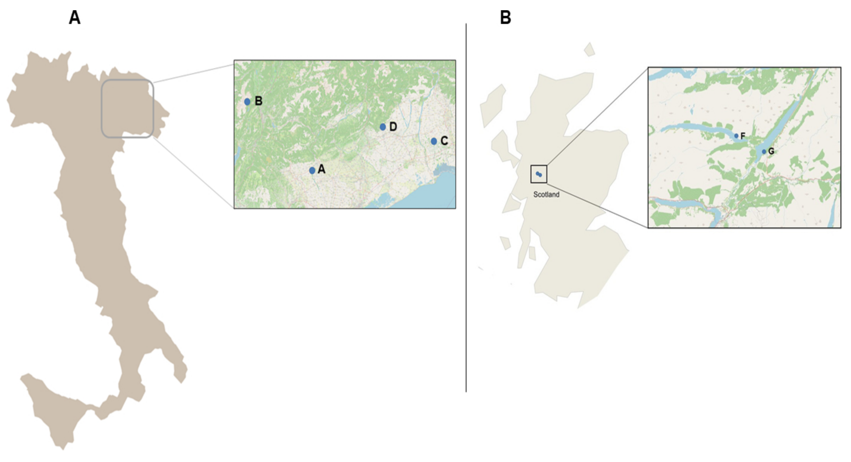 Pathogens 10 00926 g007 Pathogens 10 00926 g007