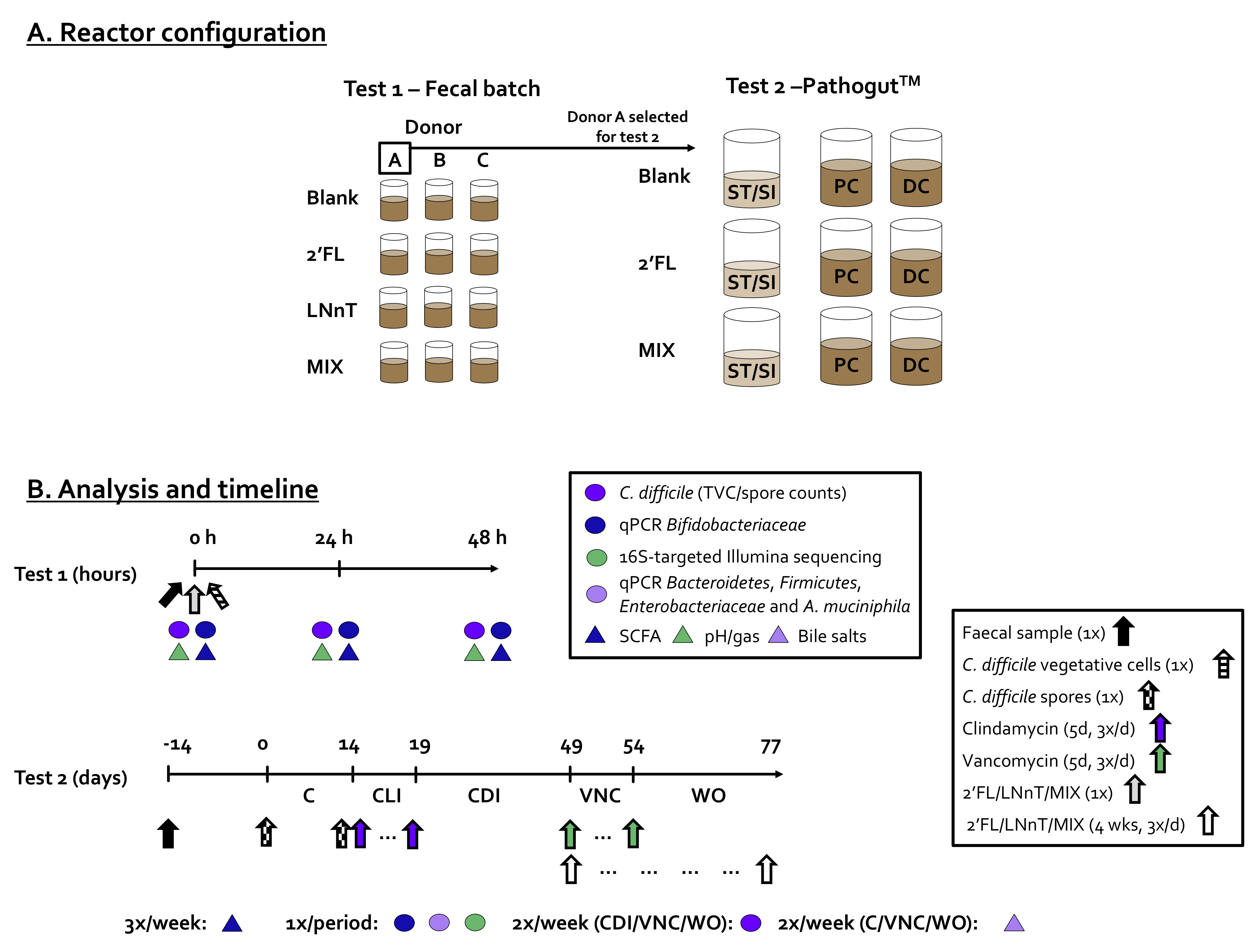 Pathogens 10 00927 g007