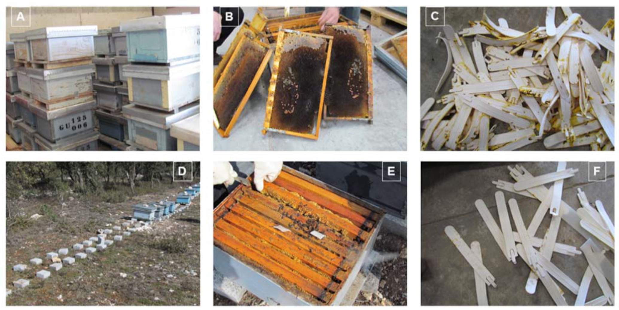Pathogens 10 00955 g001 Pathogens 10 00955 g001