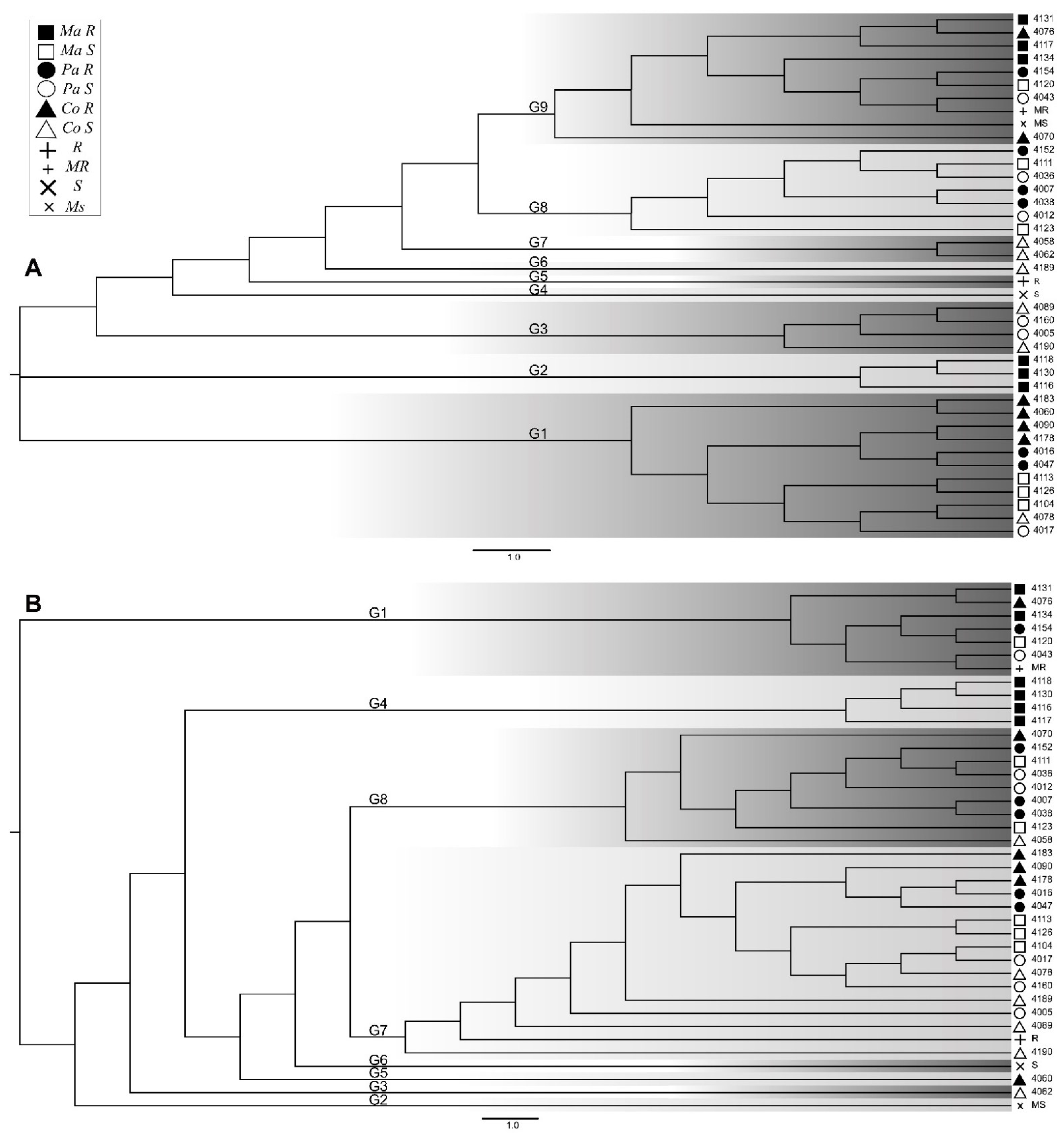 Pathogens 10 00961 g001 Pathogens 10 00961 g001