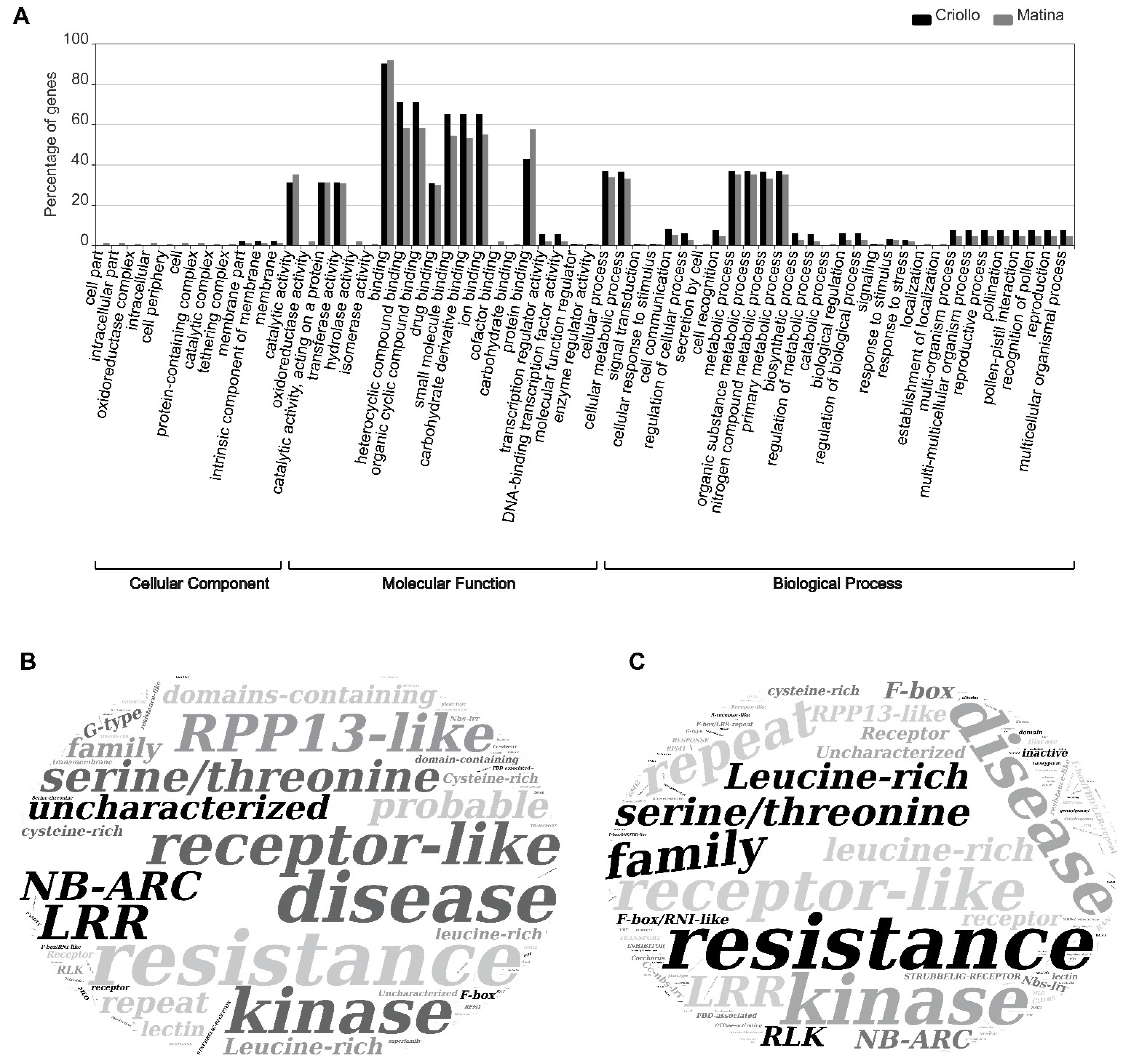 Pathogens 10 00961 g003 Pathogens 10 00961 g003