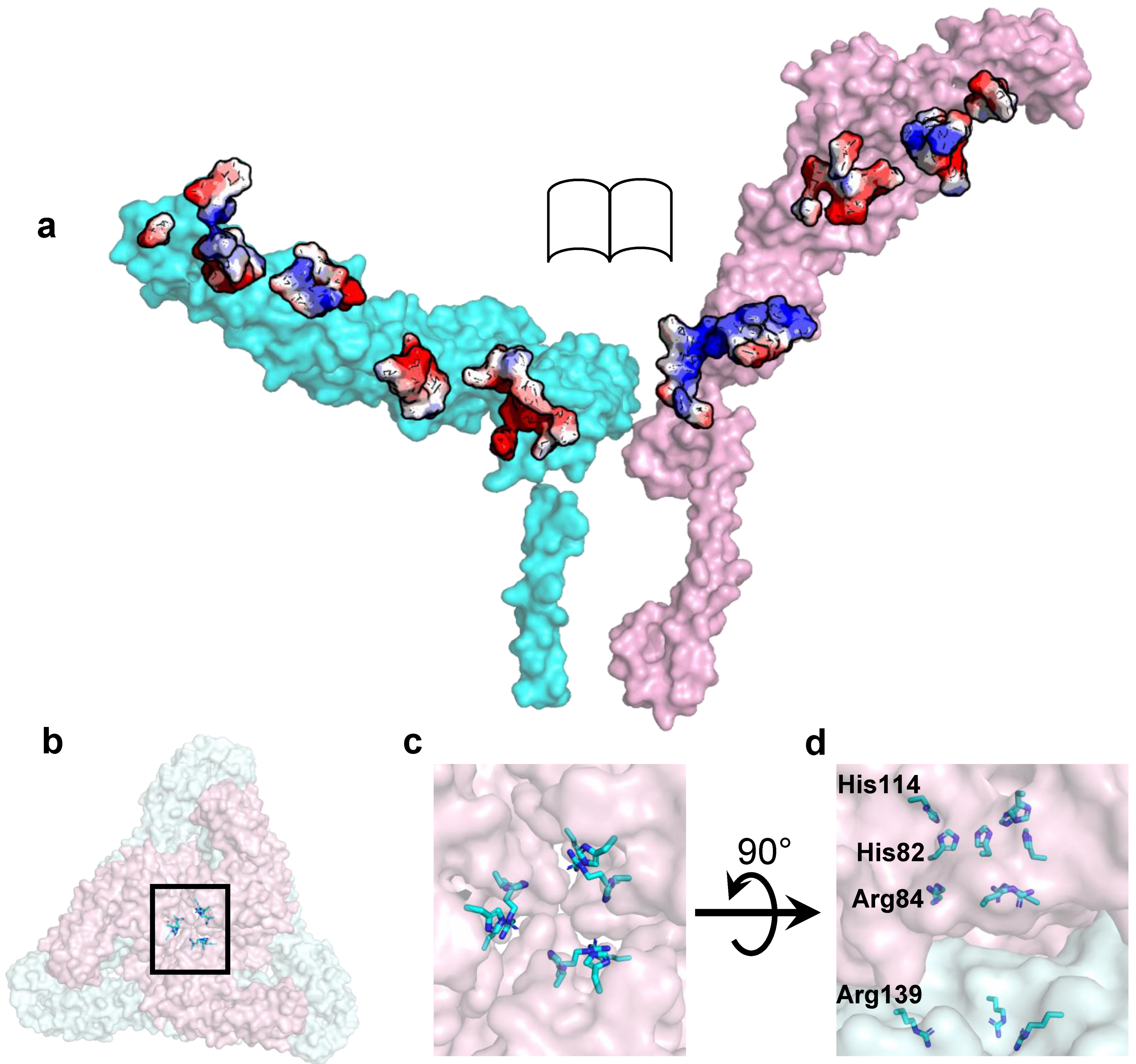 Pathogens 10 00973 g003 Pathogens 10 00973 g003
