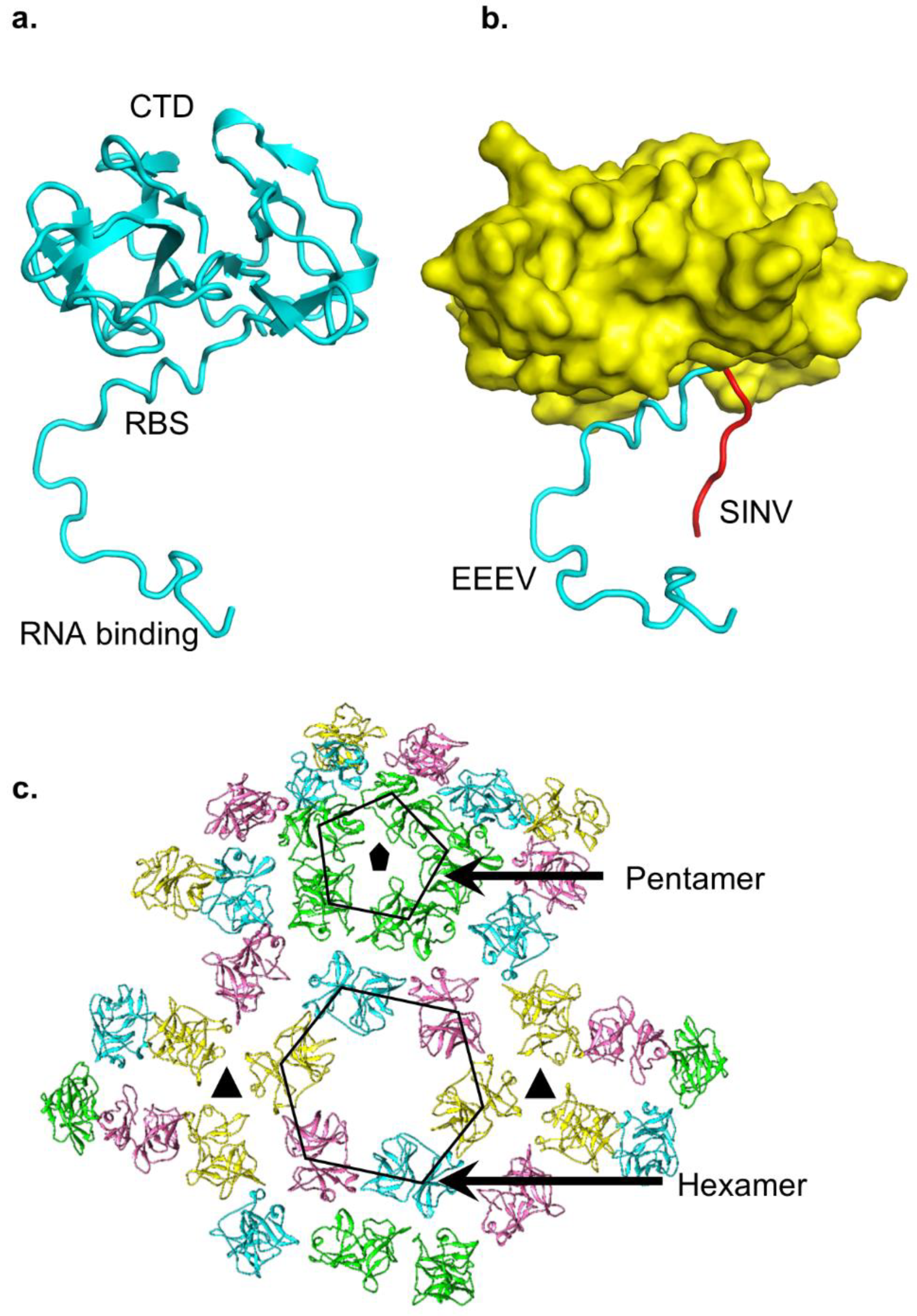 Pathogens 10 00973 g004 Pathogens 10 00973 g004