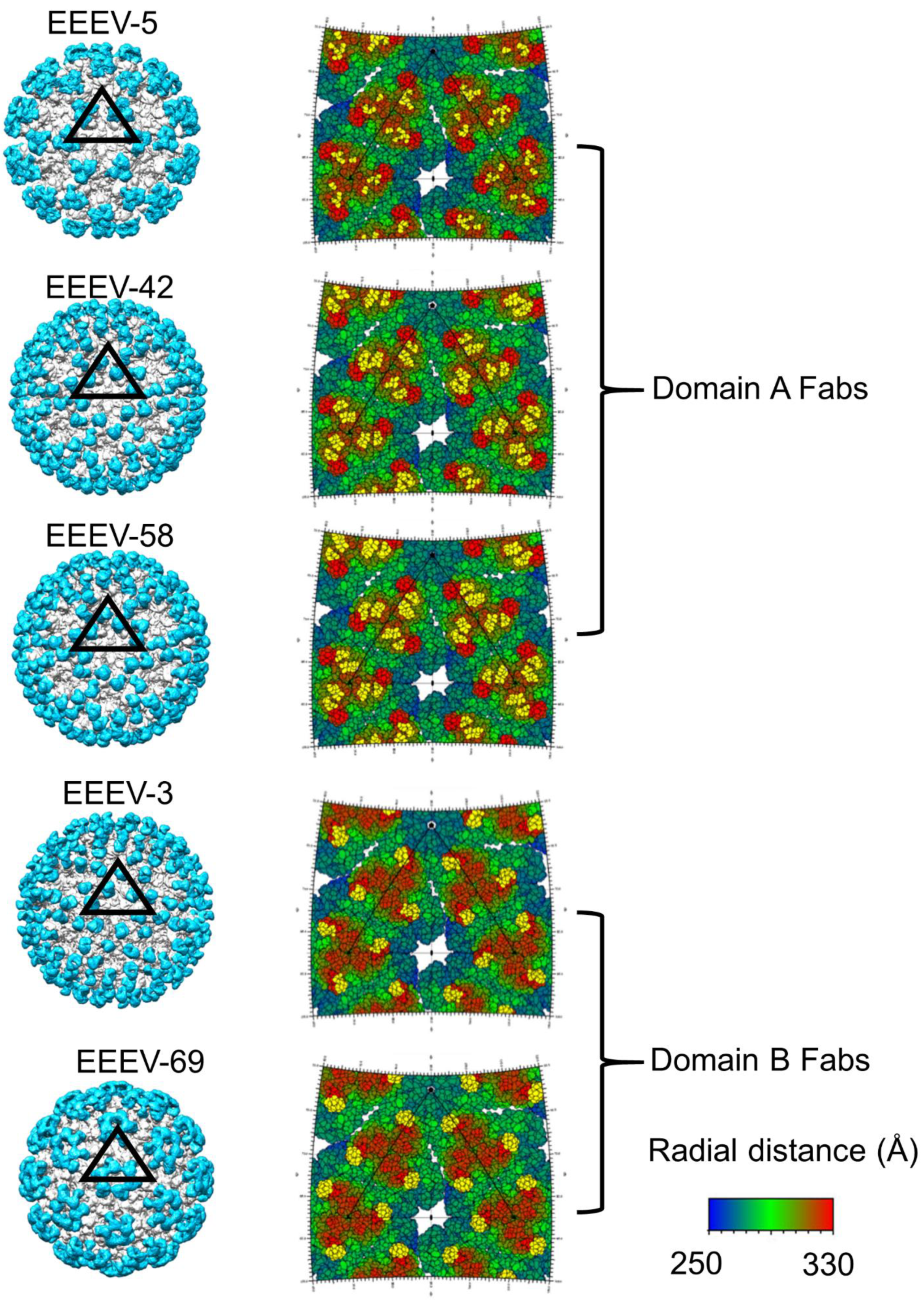 Pathogens 10 00973 g007 Pathogens 10 00973 g007