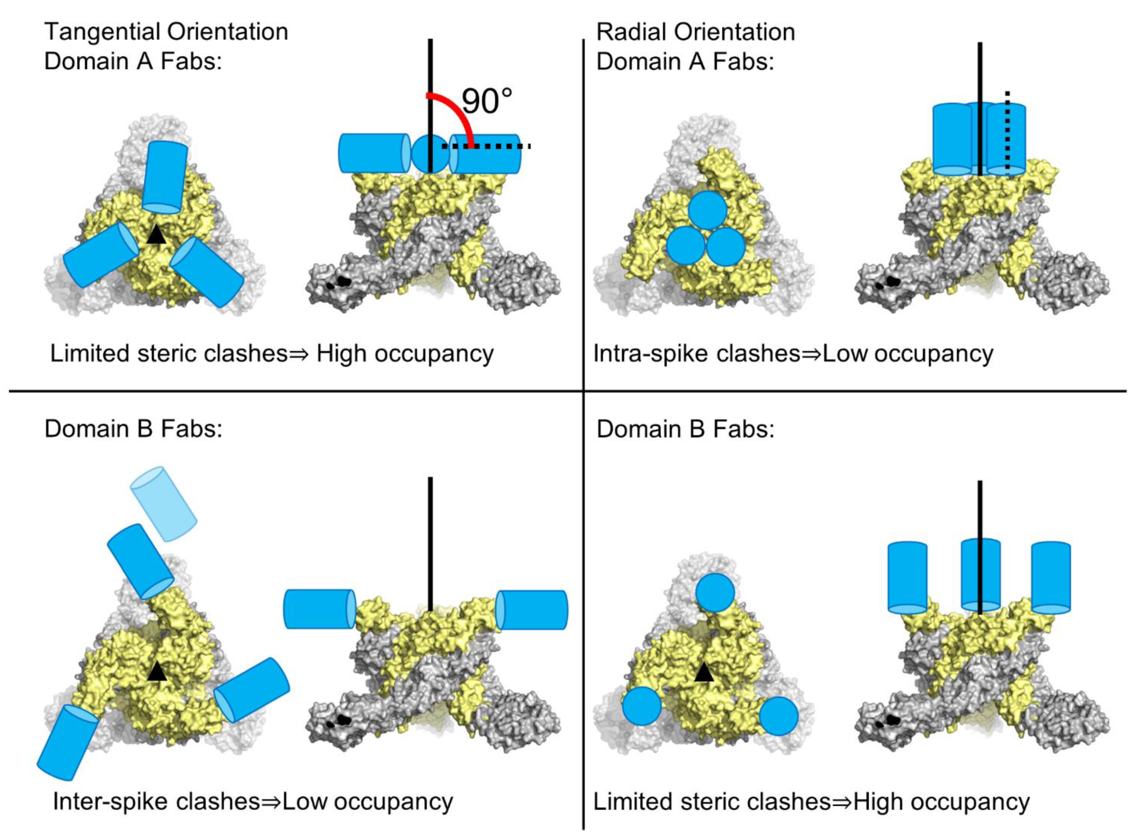 Pathogens 10 00973 g008 Pathogens 10 00973 g008