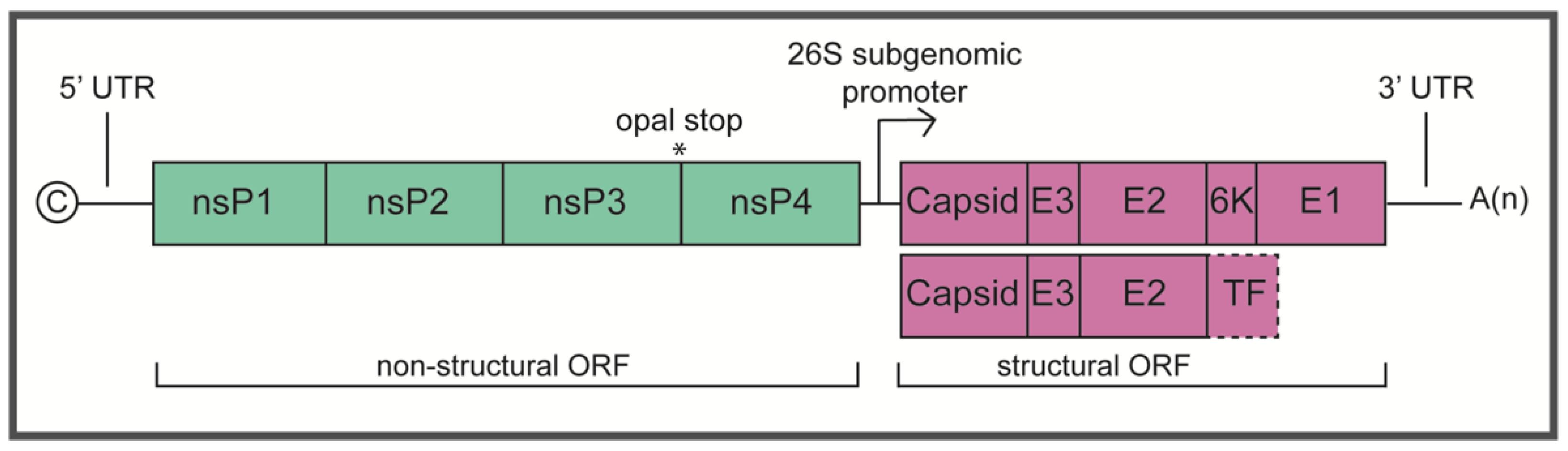 ns-p2.2-temp conversion