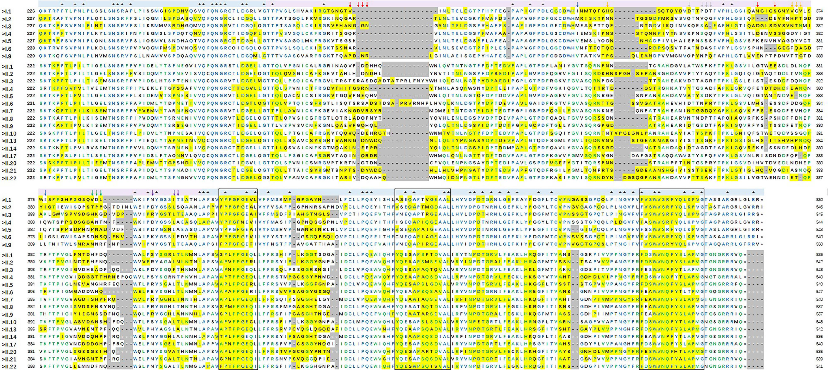 Pathogens 10 00986 g006