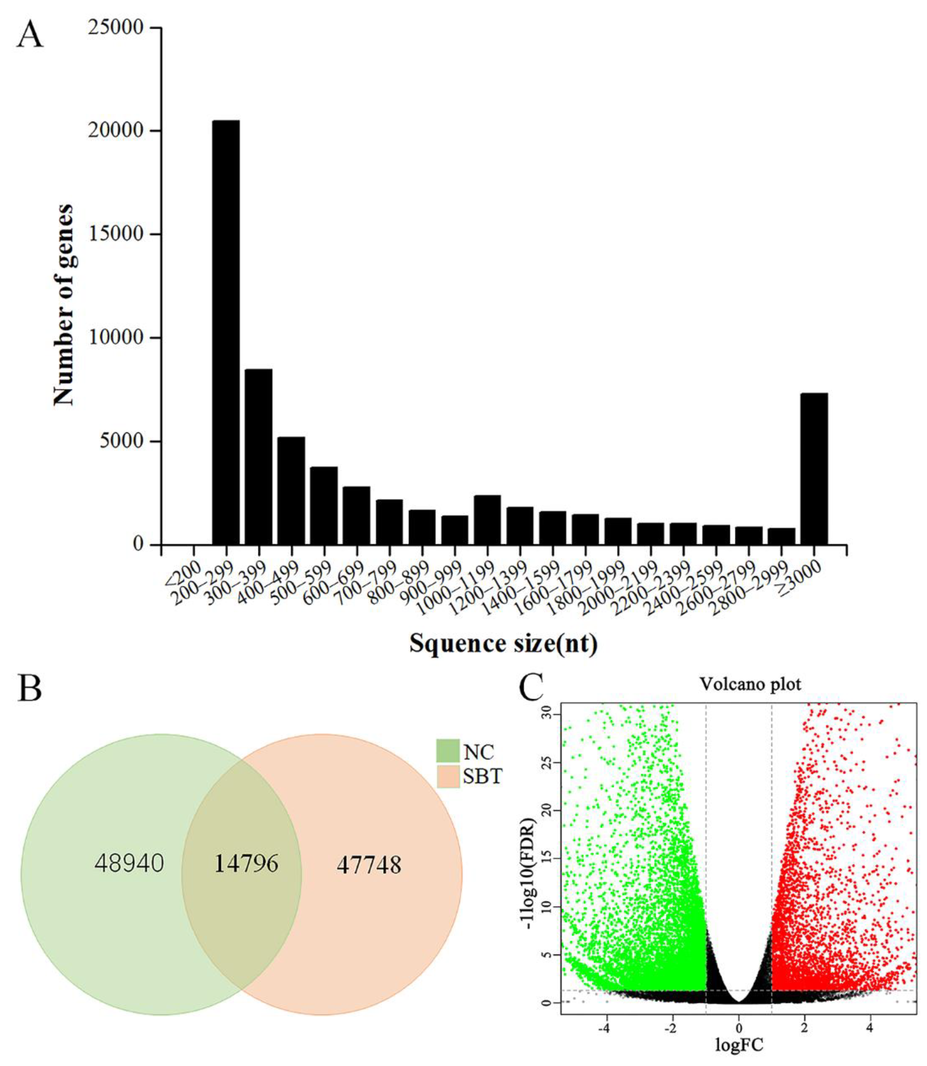 Pathogens 10 00997 g002