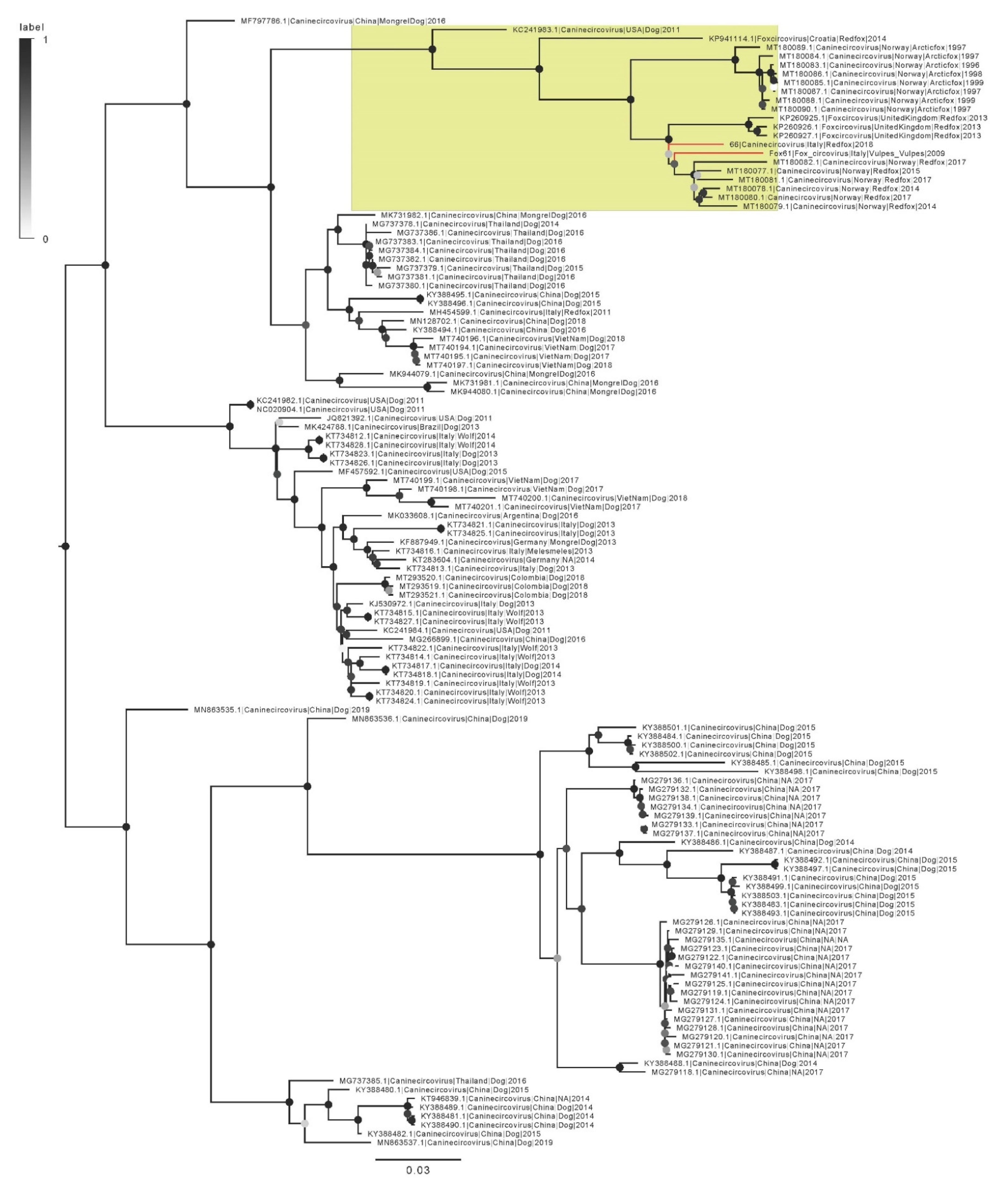 Pathogens 10 01002 g002