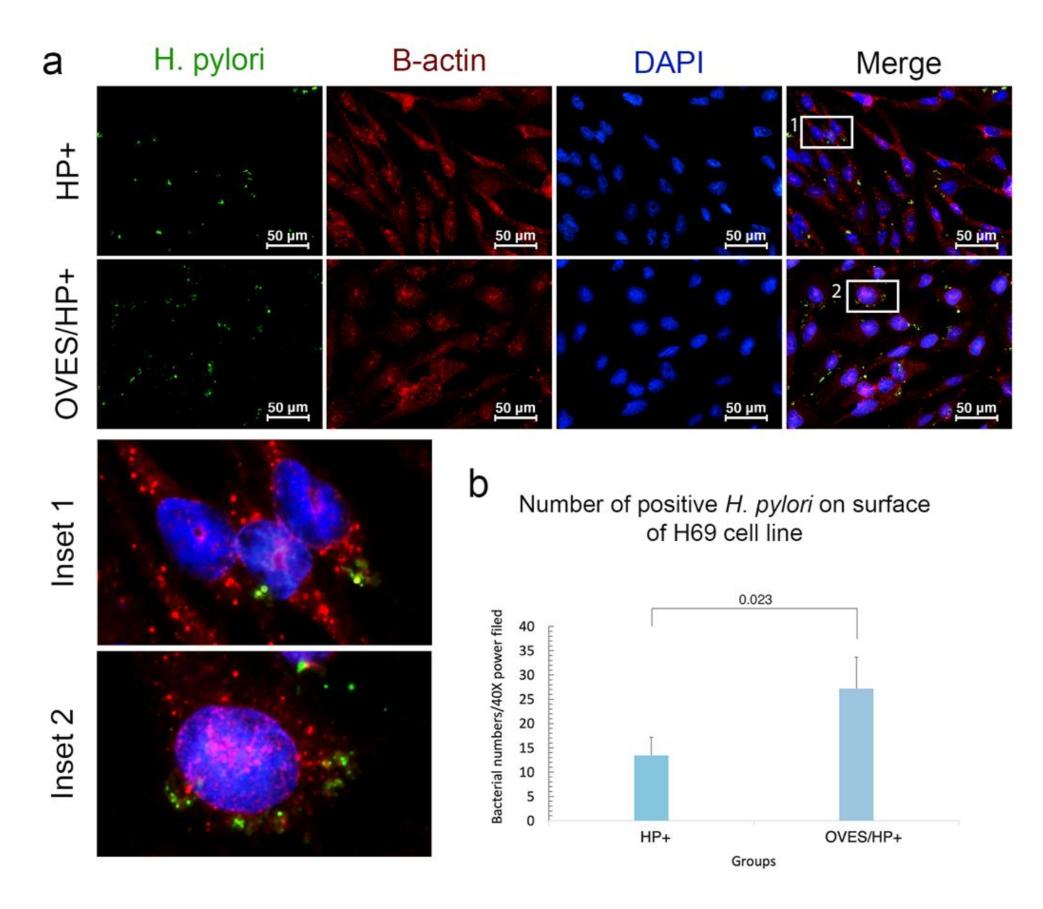 Pathogens 10 01089 g006 Pathogens 10 01089 g006