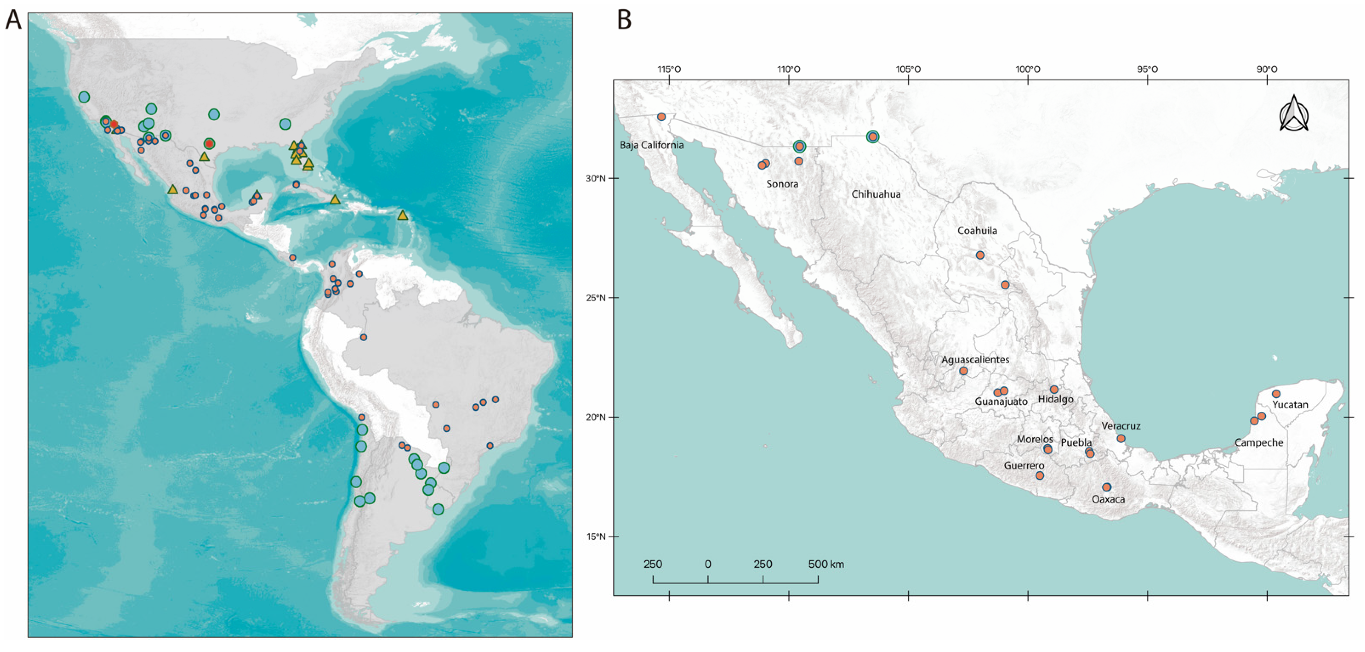 Pathogens | Free Full-Text | Rhipicephalus sanguineus Complex in