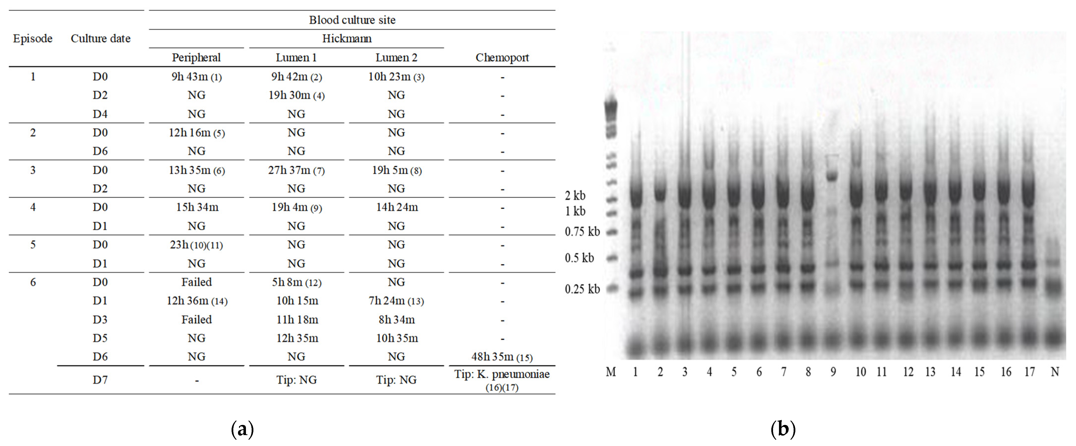 Pathogens 10 01123 g001 Pathogens 10 01123 g001