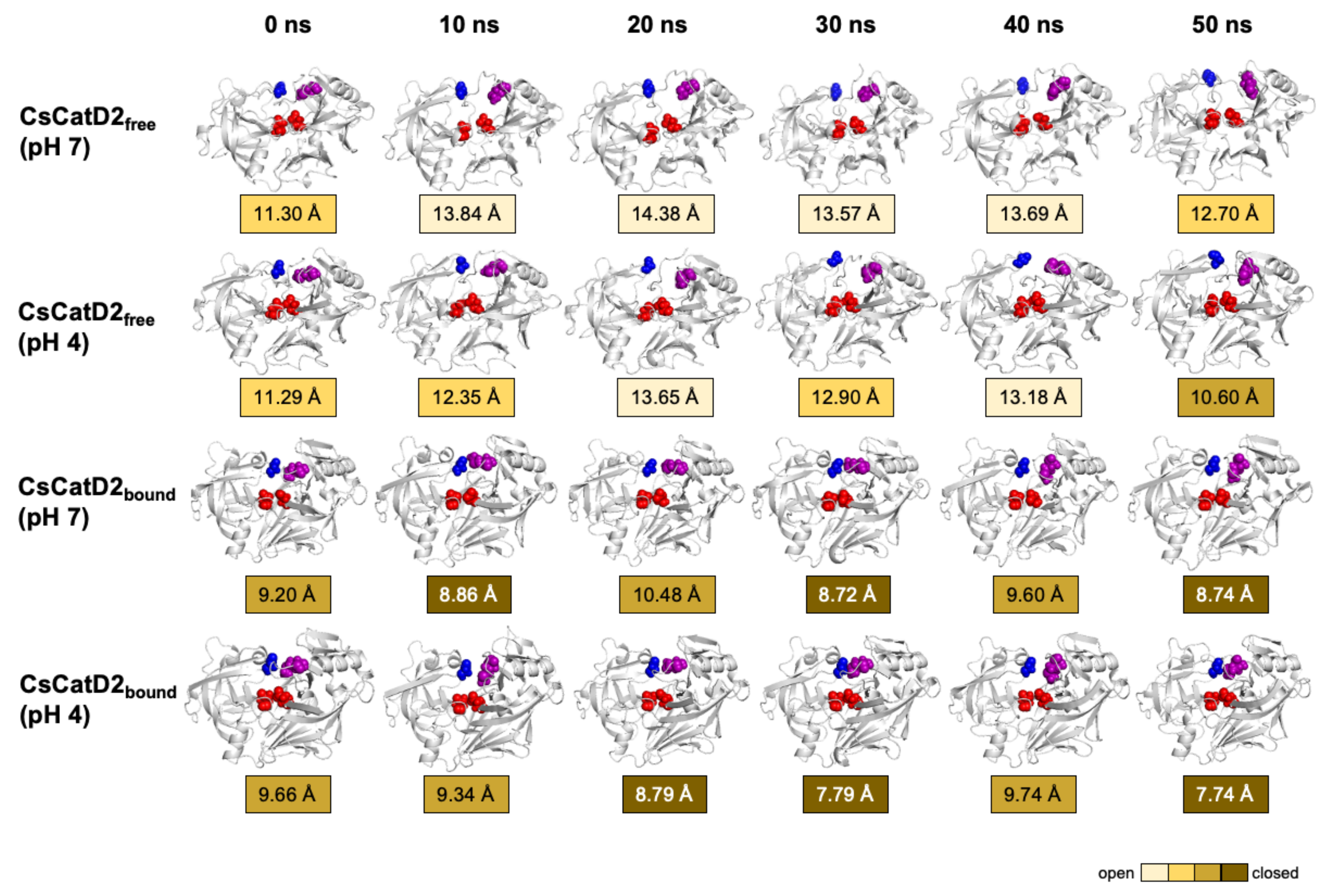 Pathogens 10 01128 g009 Pathogens 10 01128 g009