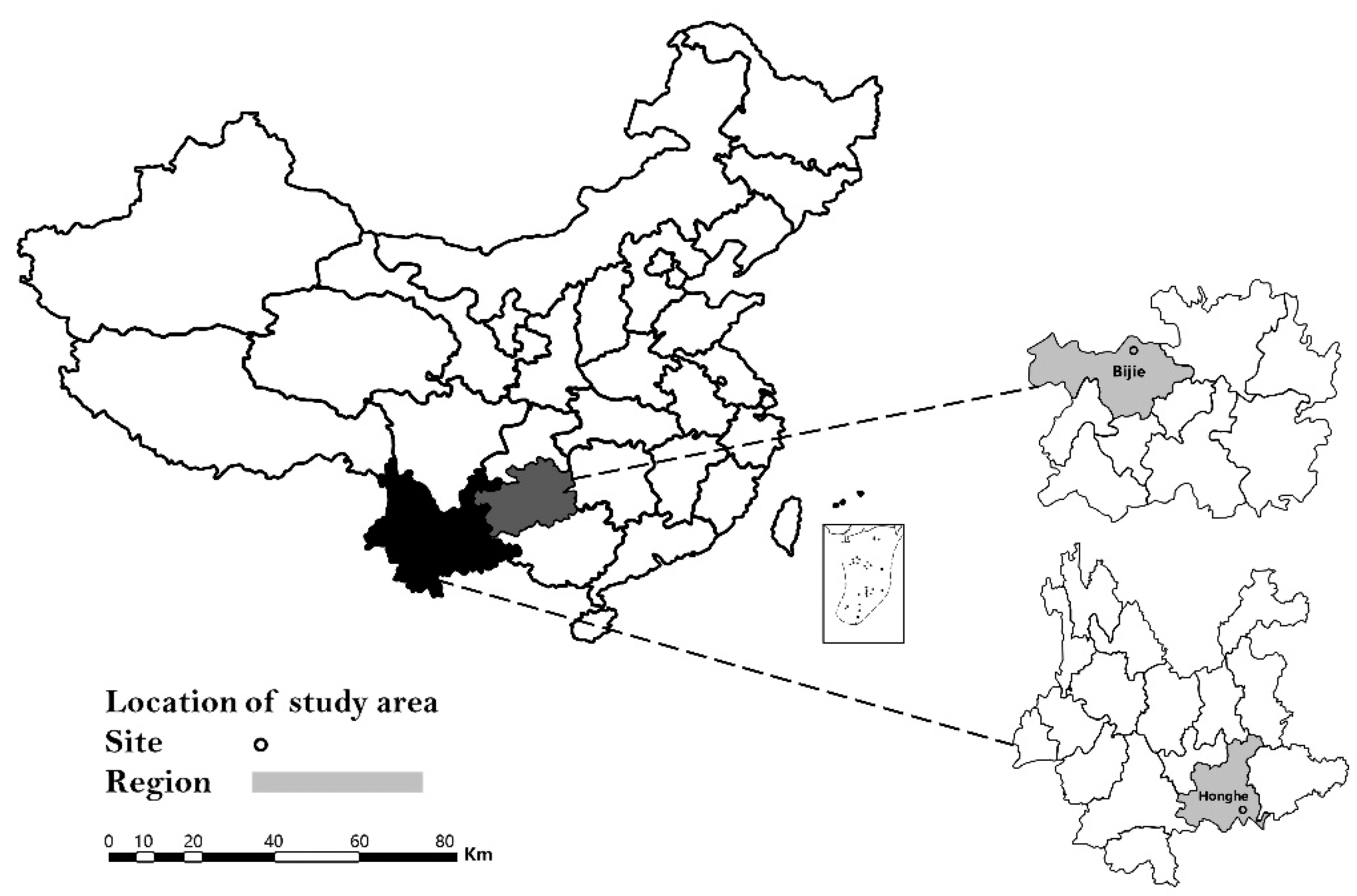Pathogens 10 01143 g003