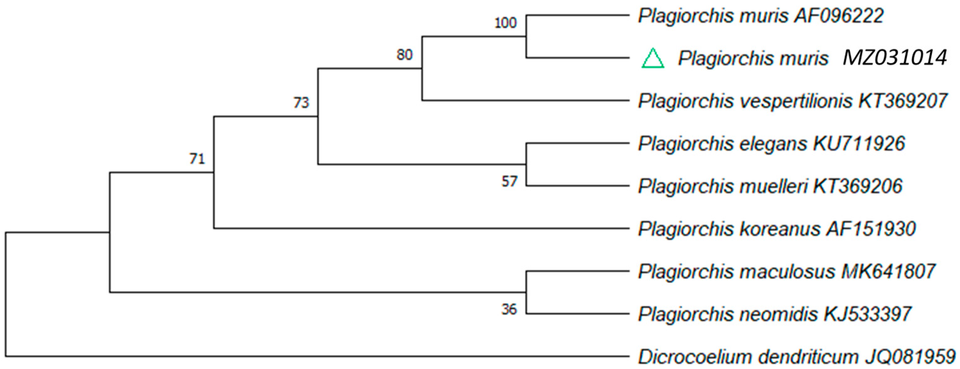 Pathogens 10 01152 g003