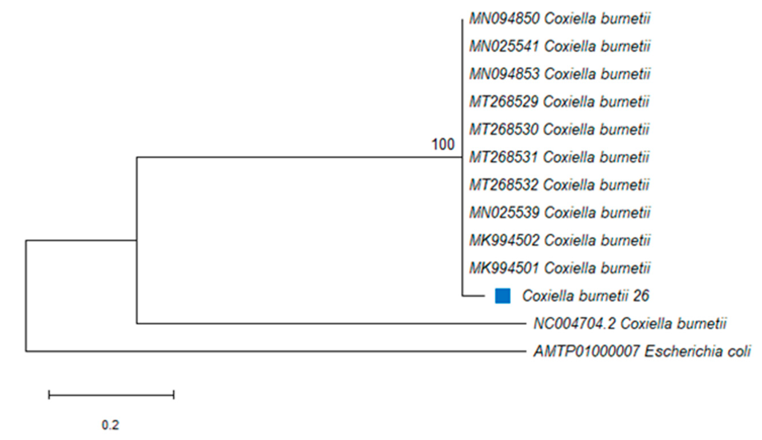 Pathogens 10 01186 g002