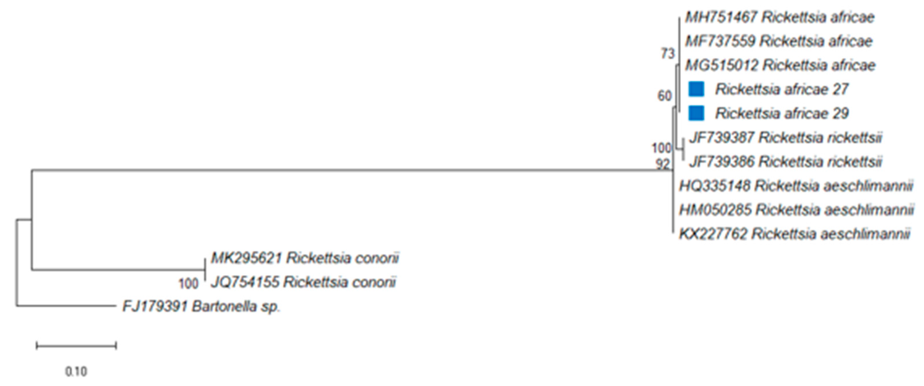 Pathogens 10 01186 g003