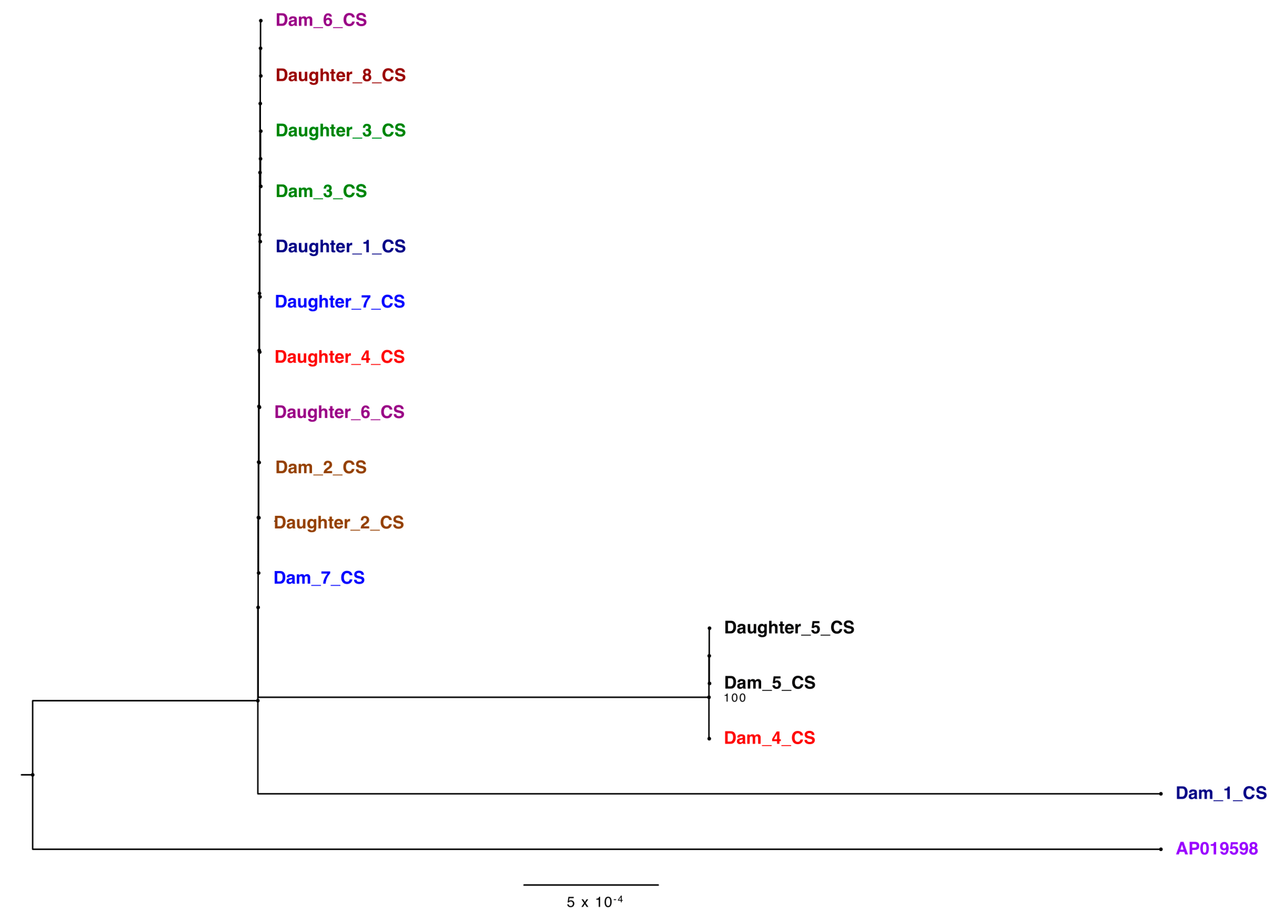 Pathogens 10 01191 g005 Pathogens 10 01191 g005
